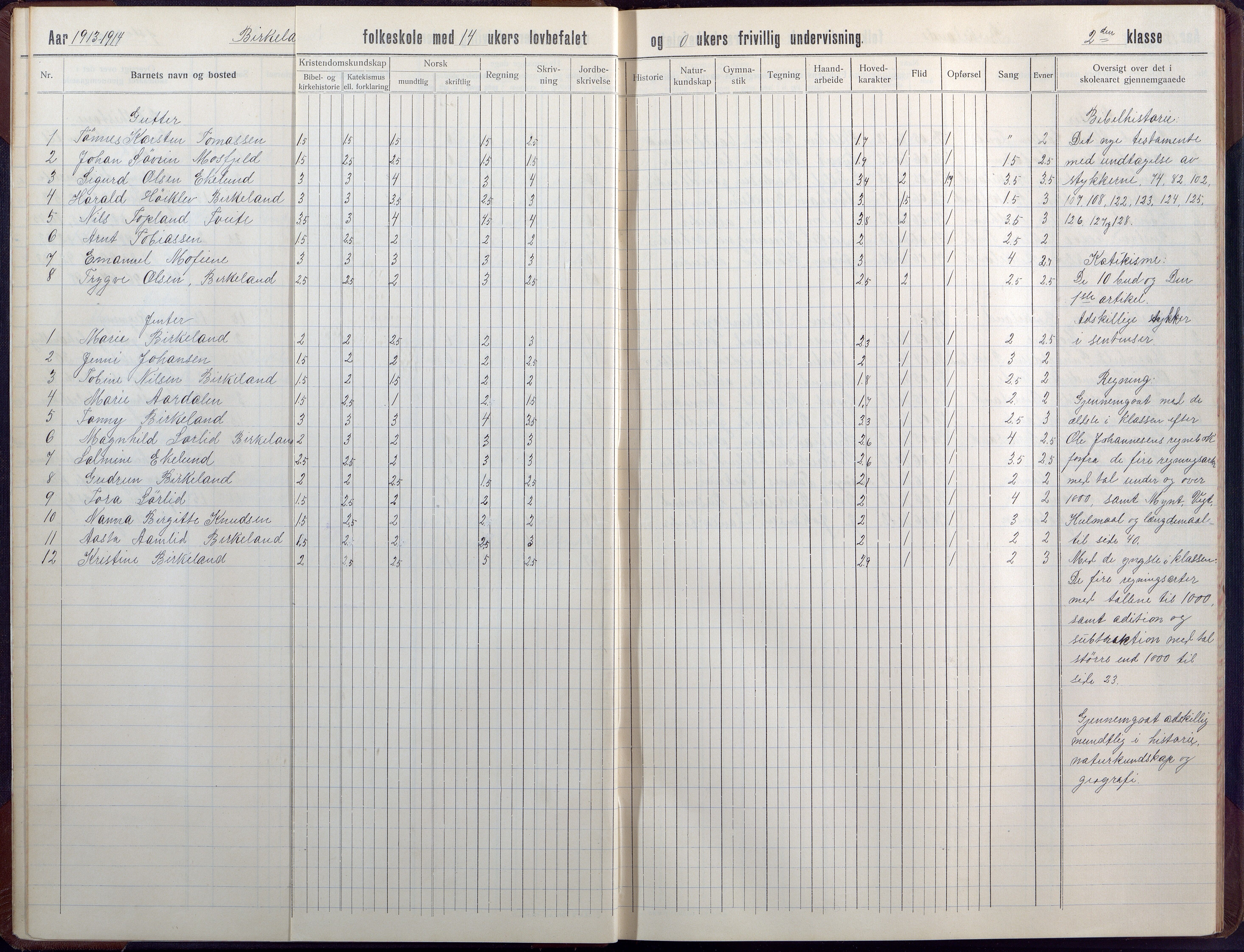 Birkenes kommune, Birkenes krets/Birkeland folkeskole frem til 1991, AAKS/KA0928-550a_91/F02/L0008: Skoleprotokoll, 1911-1930