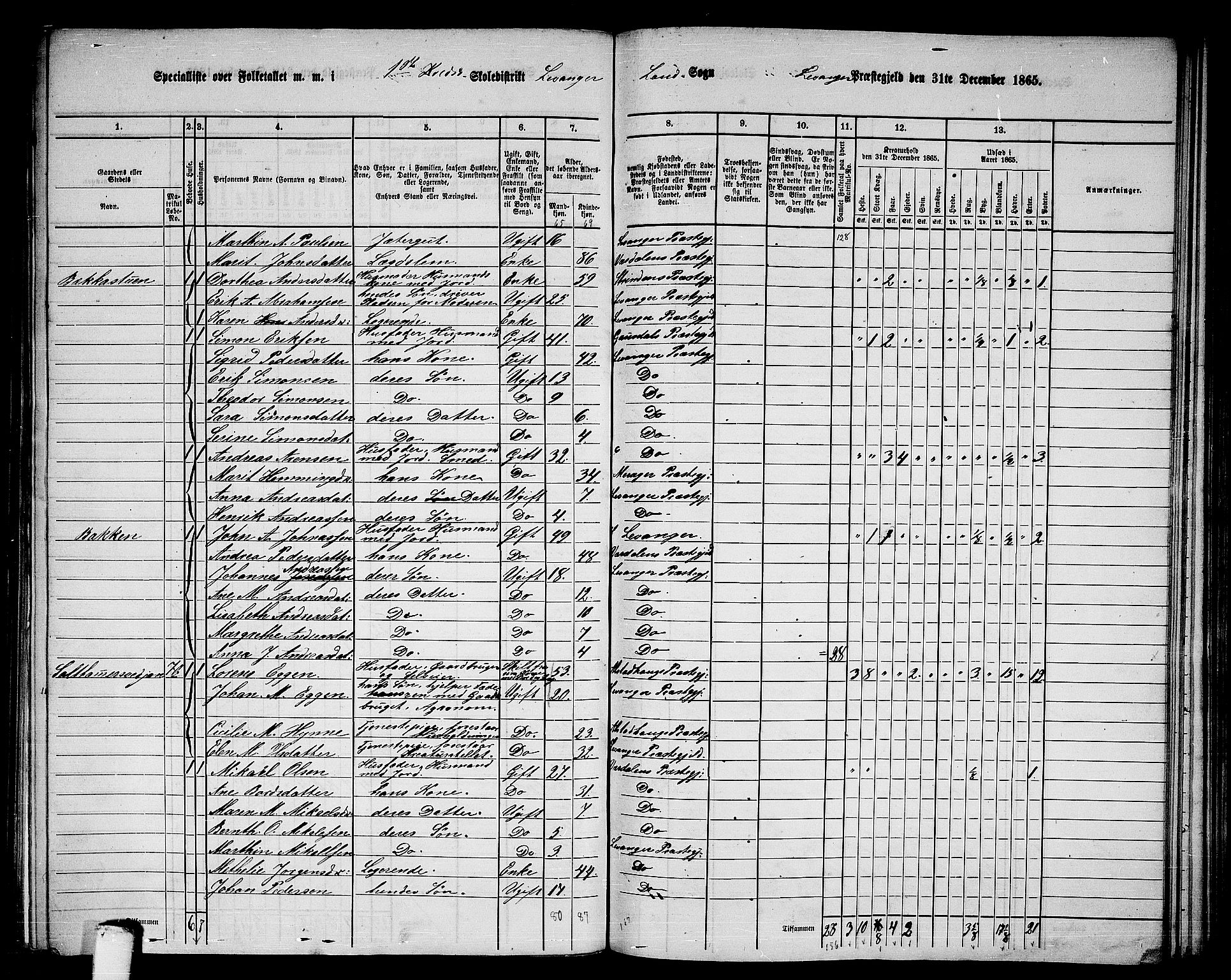 RA, Folketelling 1865 for 1720L Levanger prestegjeld, Levanger landsokn, 1865, s. 10