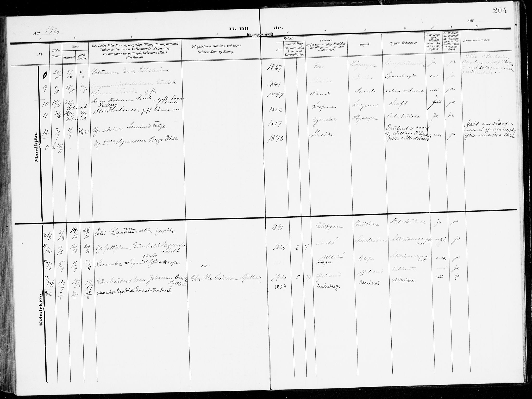 Lavik sokneprestembete, AV/SAB-A-80901: Ministerialbok nr. C 2, 1904-1921, s. 204