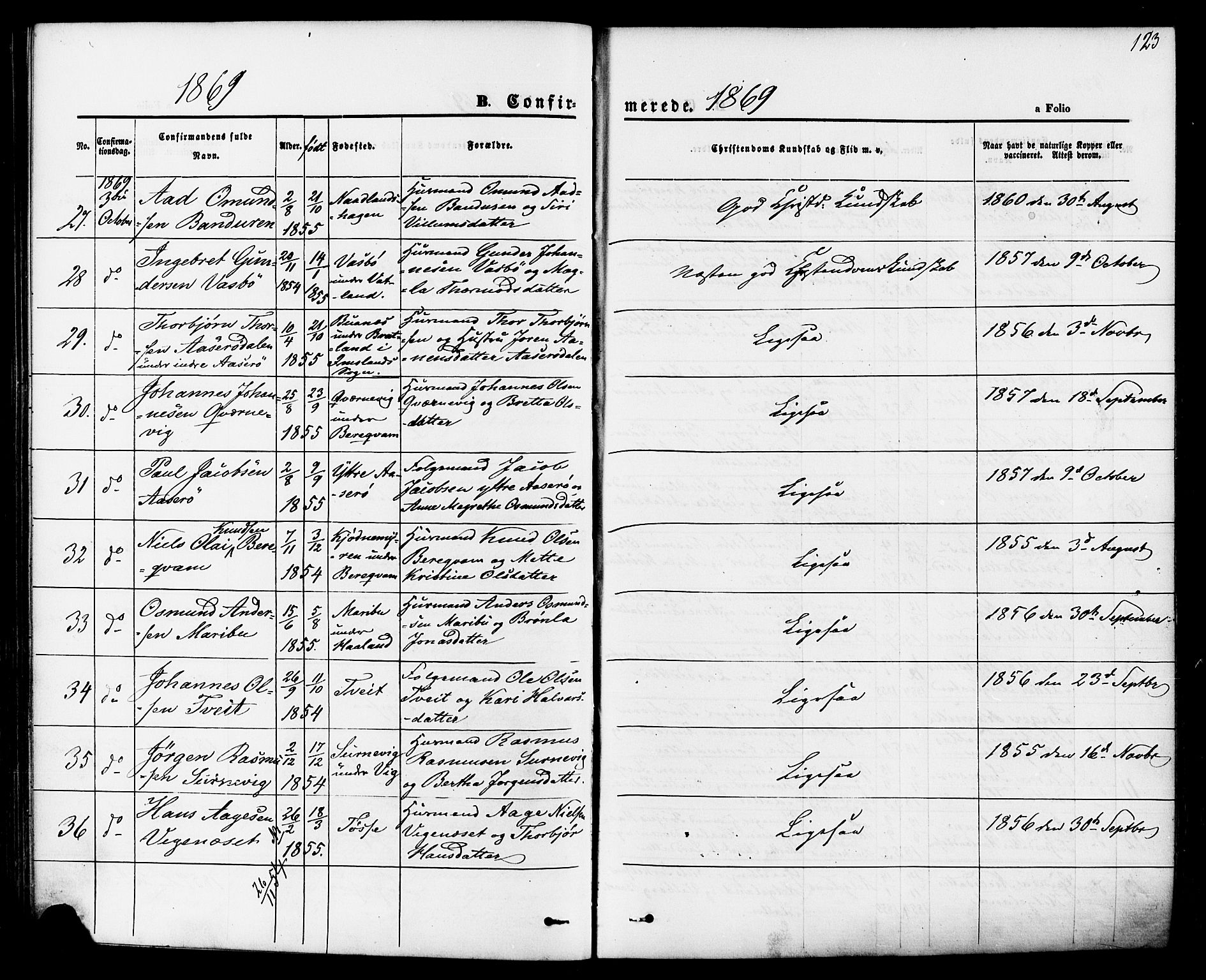 Jelsa sokneprestkontor, AV/SAST-A-101842/01/IV: Ministerialbok nr. A 8, 1867-1883, s. 123