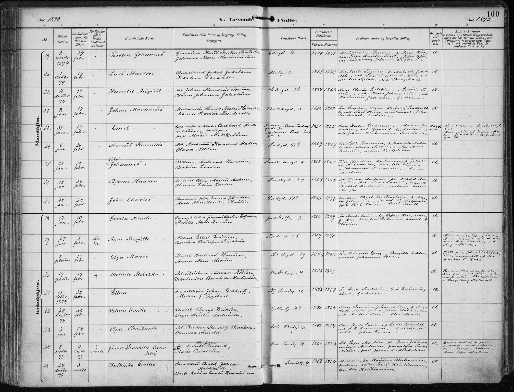 Sandviken Sokneprestembete, AV/SAB-A-77601/H/Ha/L0005: Ministerialbok nr. B 2, 1891-1901, s. 100