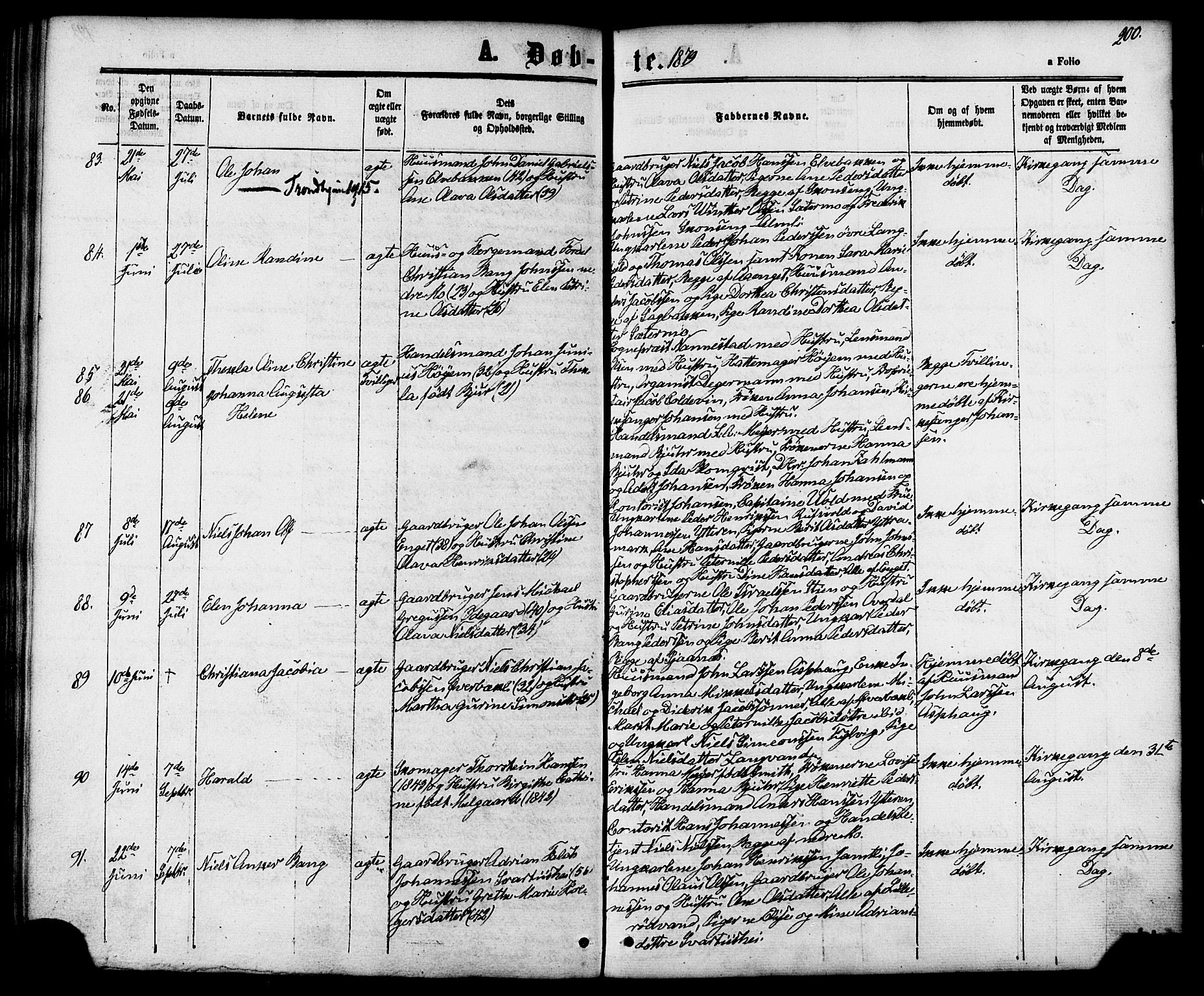 Ministerialprotokoller, klokkerbøker og fødselsregistre - Nordland, SAT/A-1459/827/L0393: Ministerialbok nr. 827A05, 1863-1883, s. 200