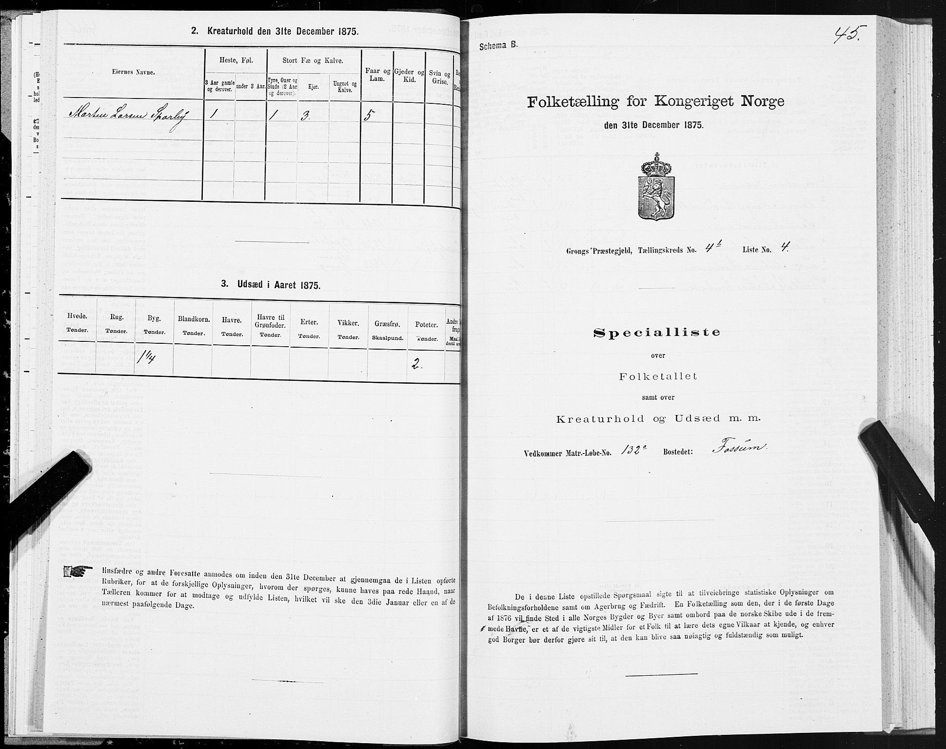 SAT, Folketelling 1875 for 1742P Grong prestegjeld, 1875, s. 3045