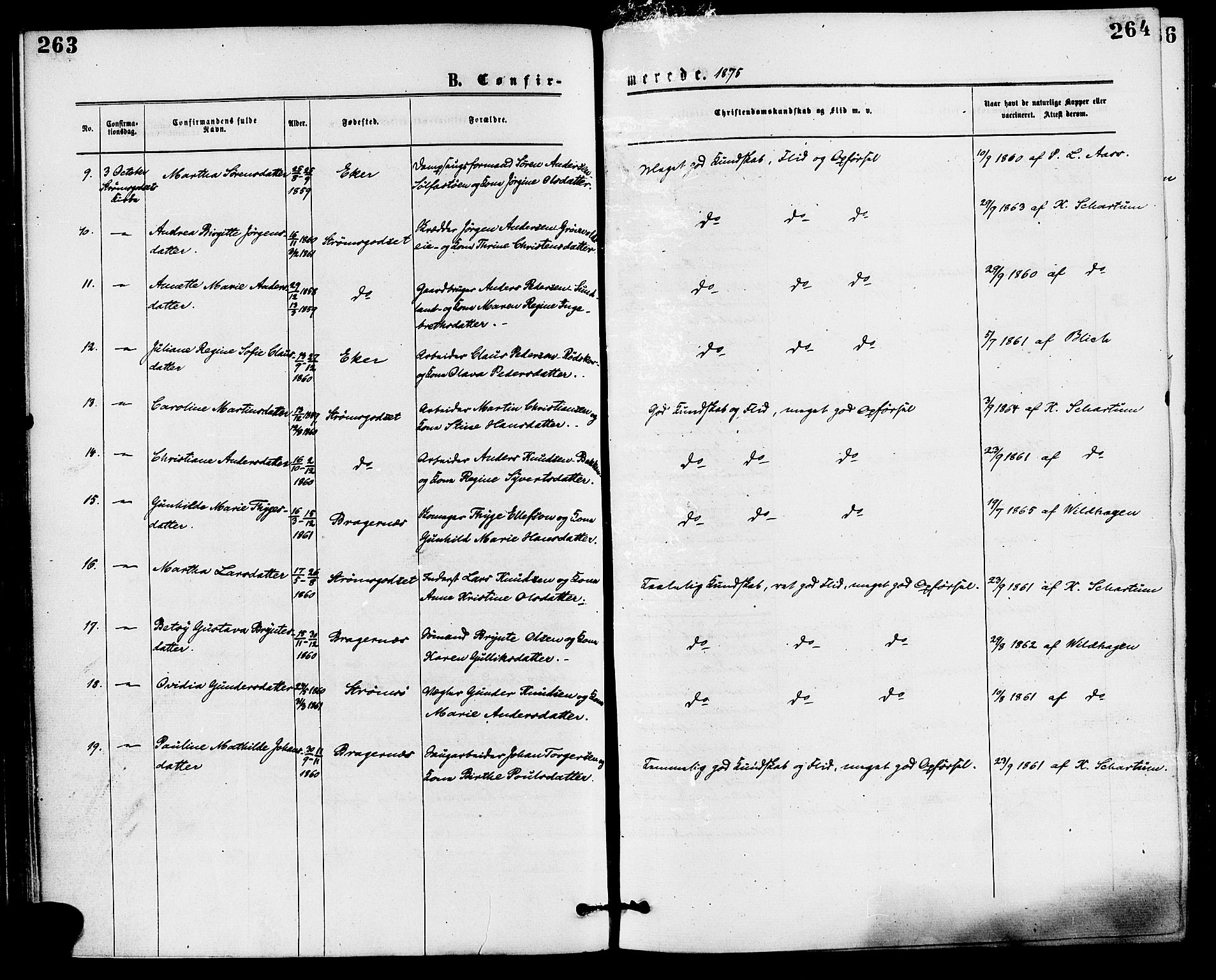 Skoger kirkebøker, SAKO/A-59/F/Fa/L0005: Ministerialbok nr. I 5, 1873-1884, s. 263-264