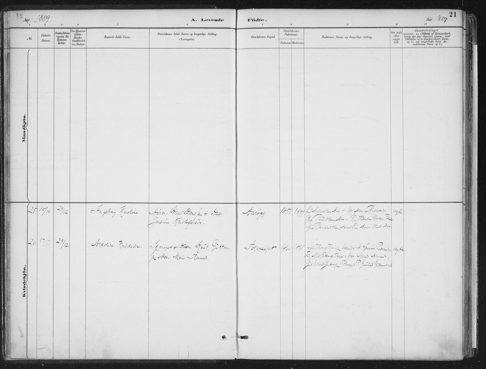 Ministerialprotokoller, klokkerbøker og fødselsregistre - Møre og Romsdal, AV/SAT-A-1454/555/L0658: Ministerialbok nr. 555A09, 1887-1917, s. 21