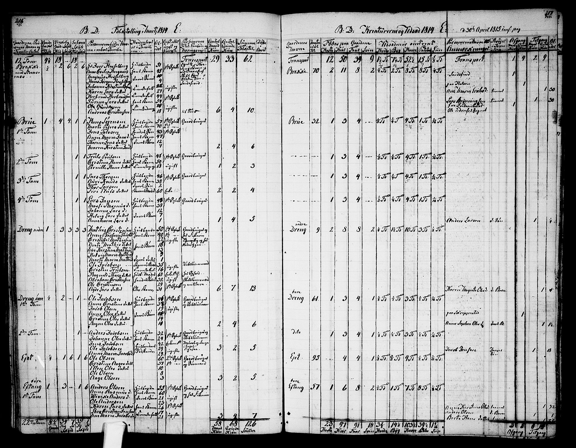 Tjølling sokneprestkontor, AV/SAKO-A-48/A/Aa/L0003: Annen kirkebok nr. 1, 1700-1813, s. 216-217