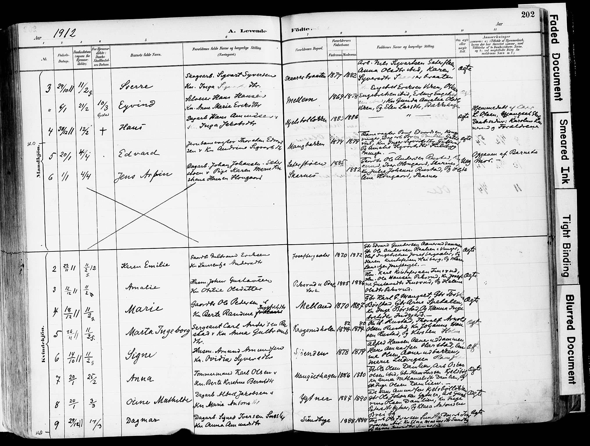 Sør-Odal prestekontor, SAH/PREST-030/H/Ha/Haa/L0006: Ministerialbok nr. 6, 1886-1931, s. 202