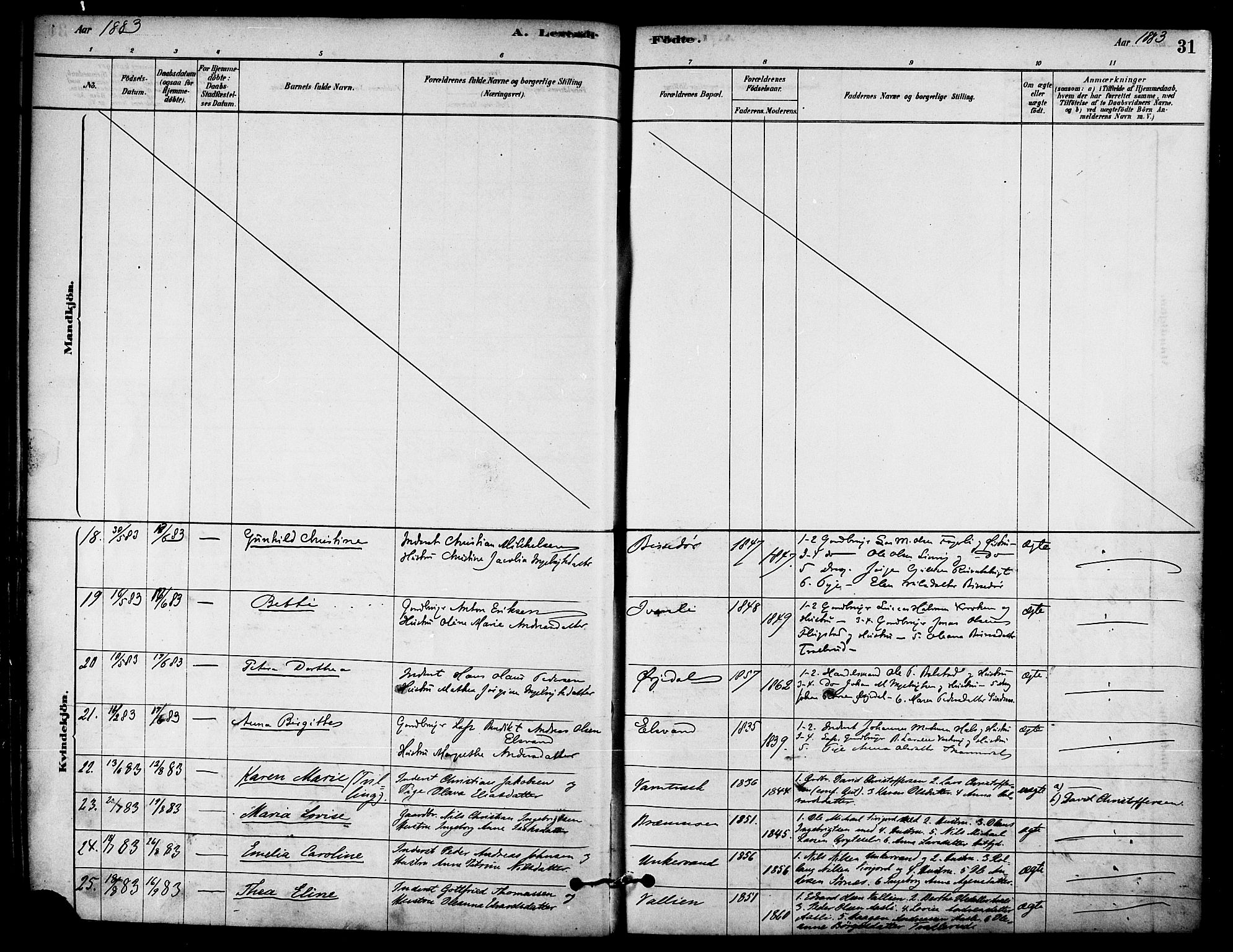 Ministerialprotokoller, klokkerbøker og fødselsregistre - Nordland, AV/SAT-A-1459/823/L0325: Ministerialbok nr. 823A02, 1878-1898, s. 31