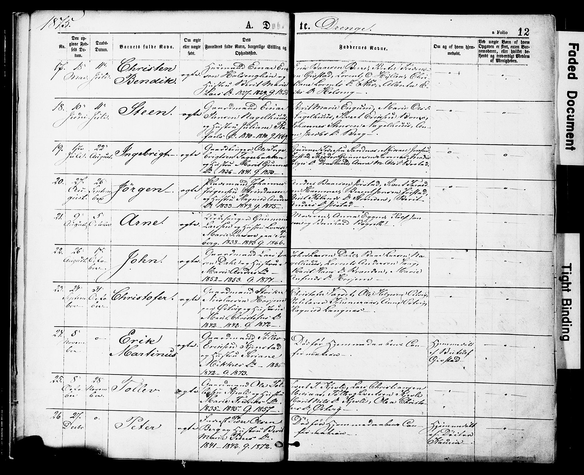 Ministerialprotokoller, klokkerbøker og fødselsregistre - Nord-Trøndelag, SAT/A-1458/749/L0473: Ministerialbok nr. 749A07, 1873-1887, s. 12
