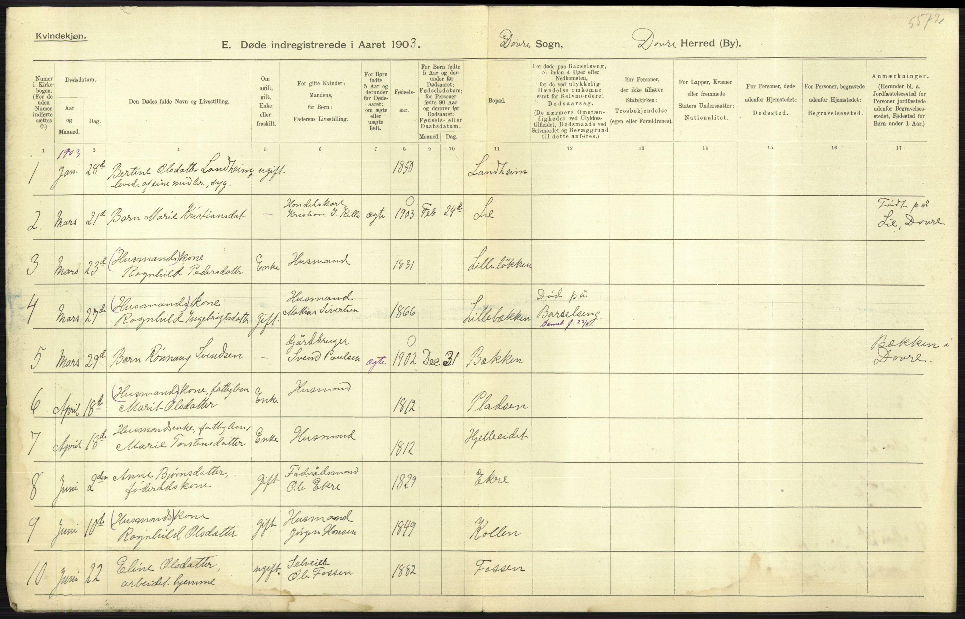 Statistisk sentralbyrå, Sosiodemografiske emner, Befolkning, AV/RA-S-2228/D/Df/Dfa/Dfaa/L0006: Kristians amt: Fødte, gifte, døde, 1903, s. 579