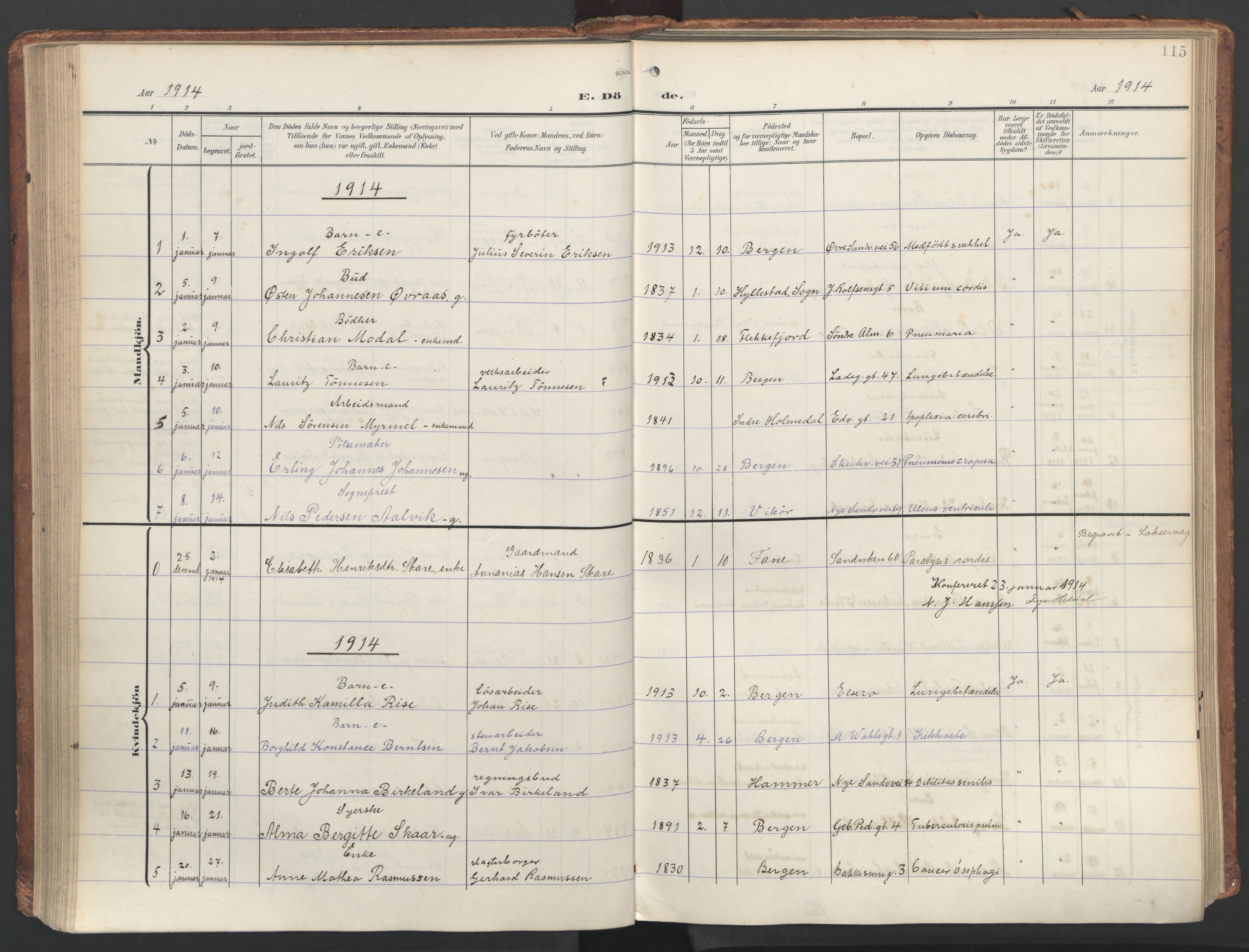 Sandviken Sokneprestembete, SAB/A-77601/H/Ha/L0019: Ministerialbok nr. E 2, 1905-1933, s. 115