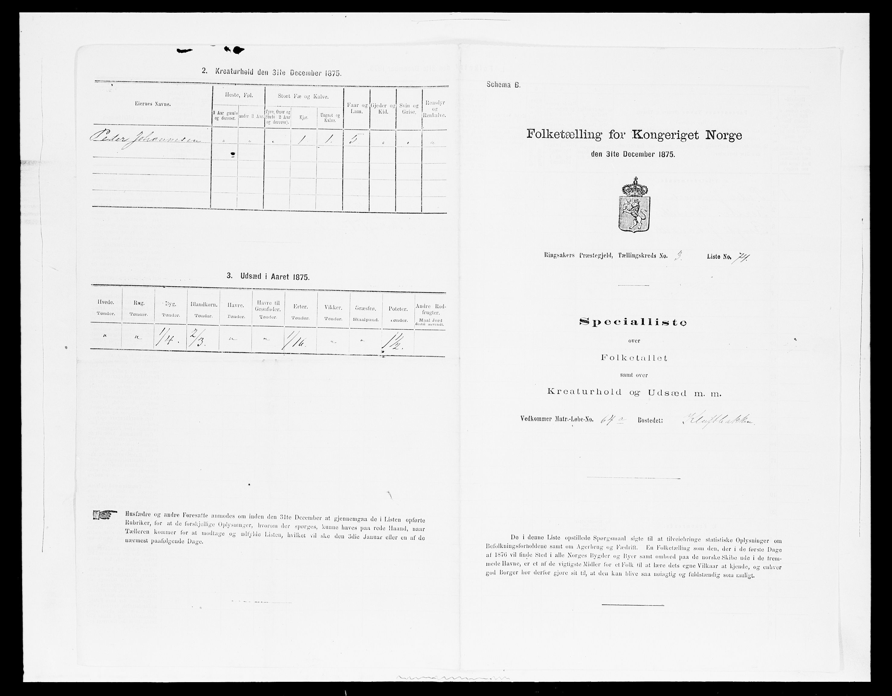 SAH, Folketelling 1875 for 0412P Ringsaker prestegjeld, 1875, s. 762