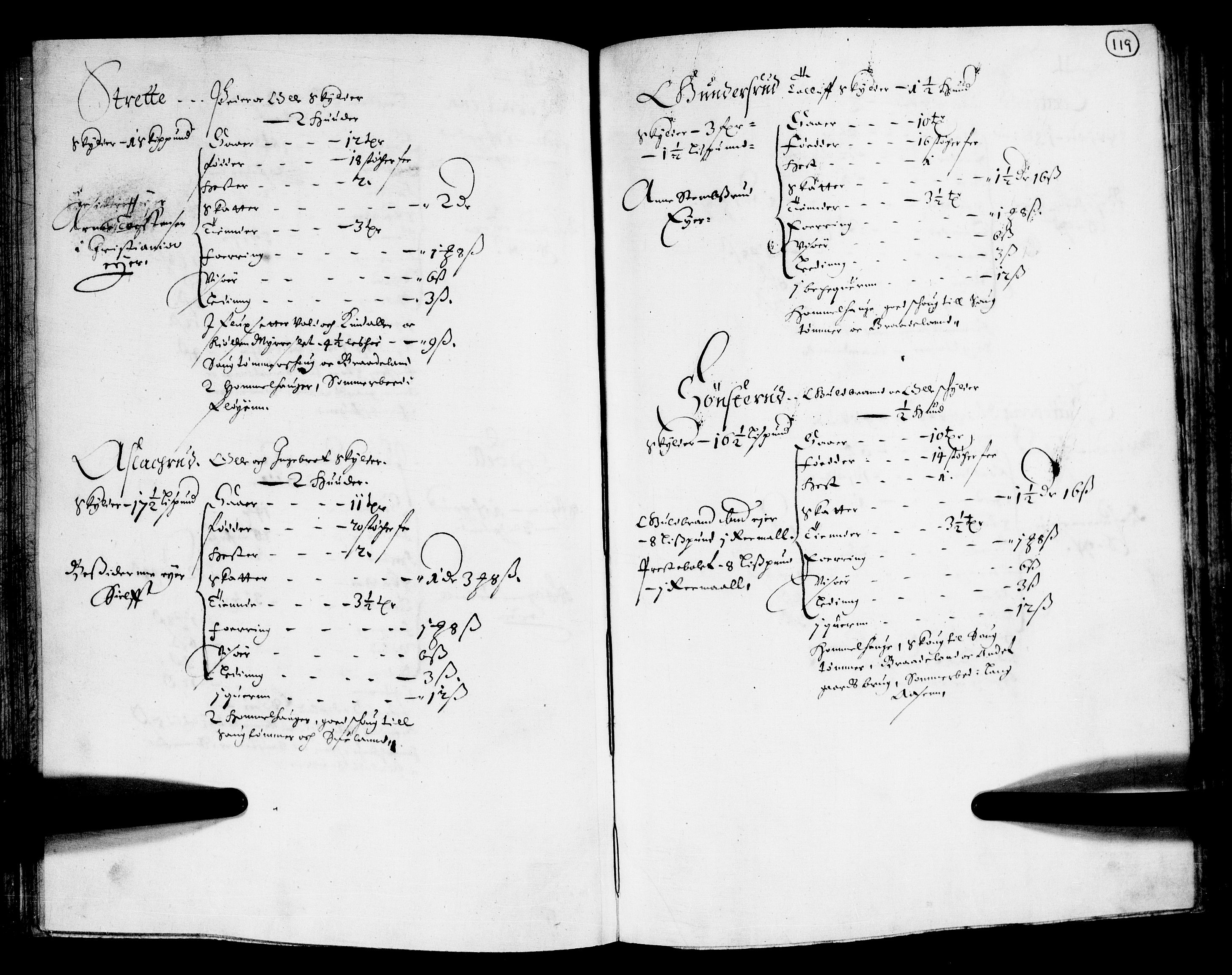 Rentekammeret inntil 1814, Realistisk ordnet avdeling, AV/RA-EA-4070/N/Nb/Nba/L0011: Odal, Solør og Østerdalen fogderi, 1667, s. 118b-119a