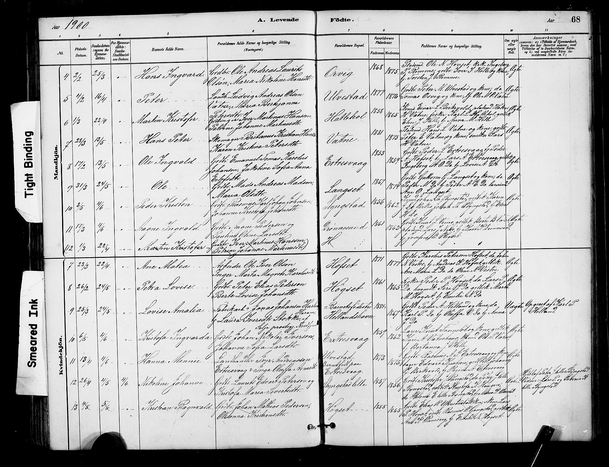 Ministerialprotokoller, klokkerbøker og fødselsregistre - Møre og Romsdal, AV/SAT-A-1454/525/L0376: Klokkerbok nr. 525C02, 1880-1902, s. 68