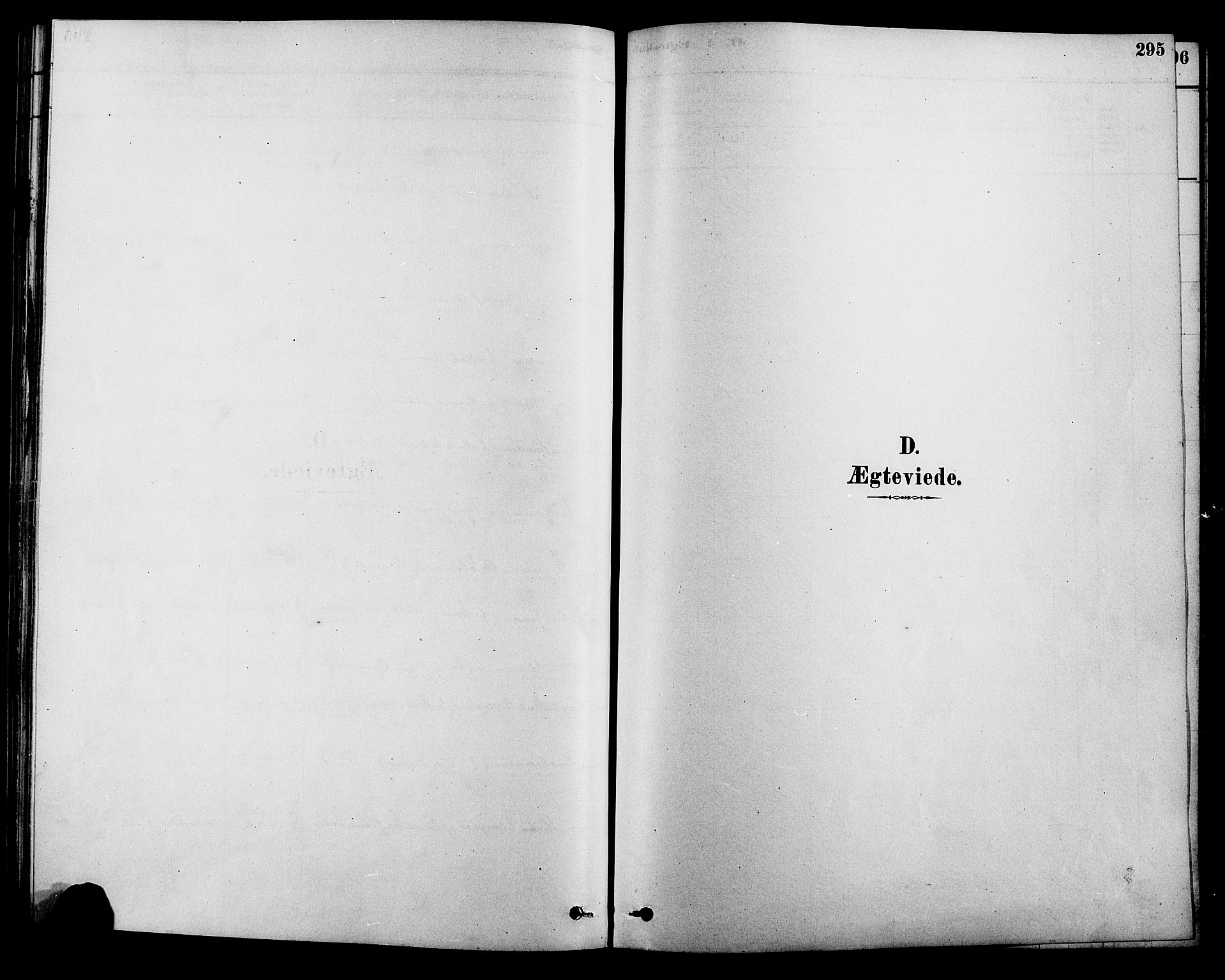 Alvdal prestekontor, SAH/PREST-060/H/Ha/Hab/L0003: Klokkerbok nr. 3, 1878-1907, s. 295