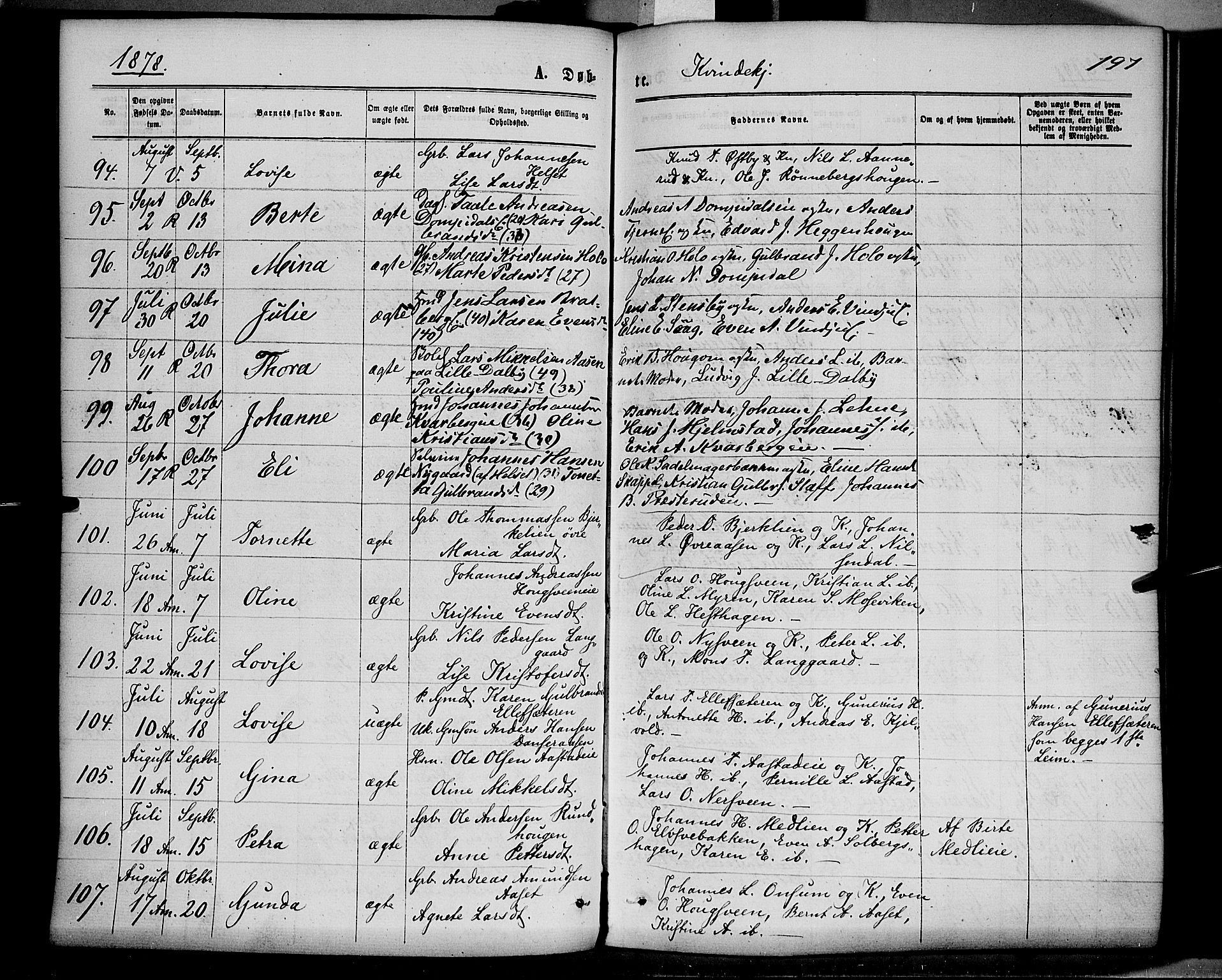 Ringsaker prestekontor, AV/SAH-PREST-014/K/Ka/L0011: Ministerialbok nr. 11, 1870-1878, s. 197