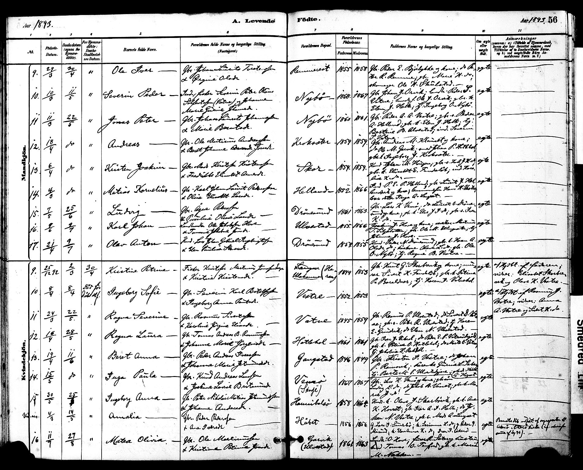 Ministerialprotokoller, klokkerbøker og fødselsregistre - Møre og Romsdal, AV/SAT-A-1454/525/L0374: Ministerialbok nr. 525A04, 1880-1899, s. 56