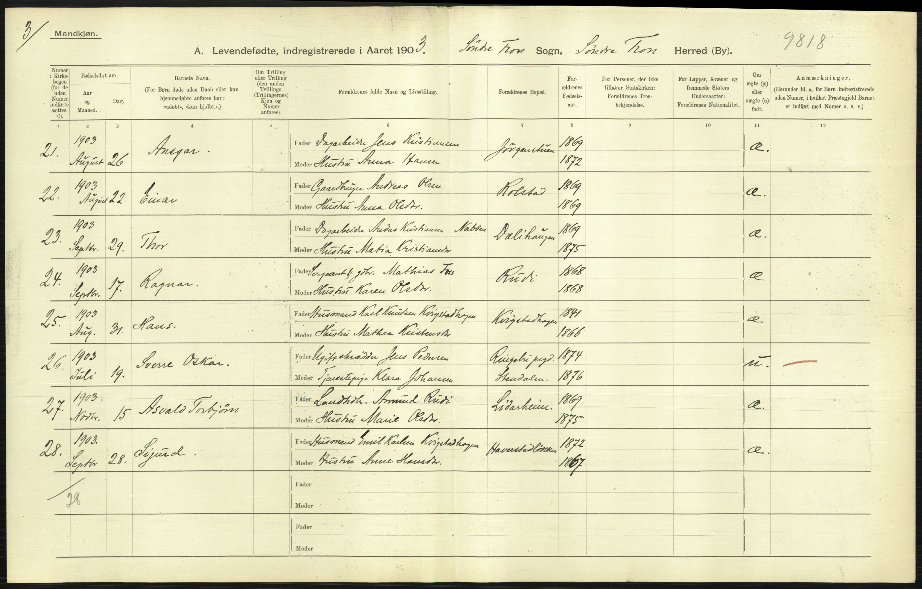 Statistisk sentralbyrå, Sosiodemografiske emner, Befolkning, AV/RA-S-2228/D/Df/Dfa/Dfaa/L0006: Kristians amt: Fødte, gifte, døde, 1903, s. 65