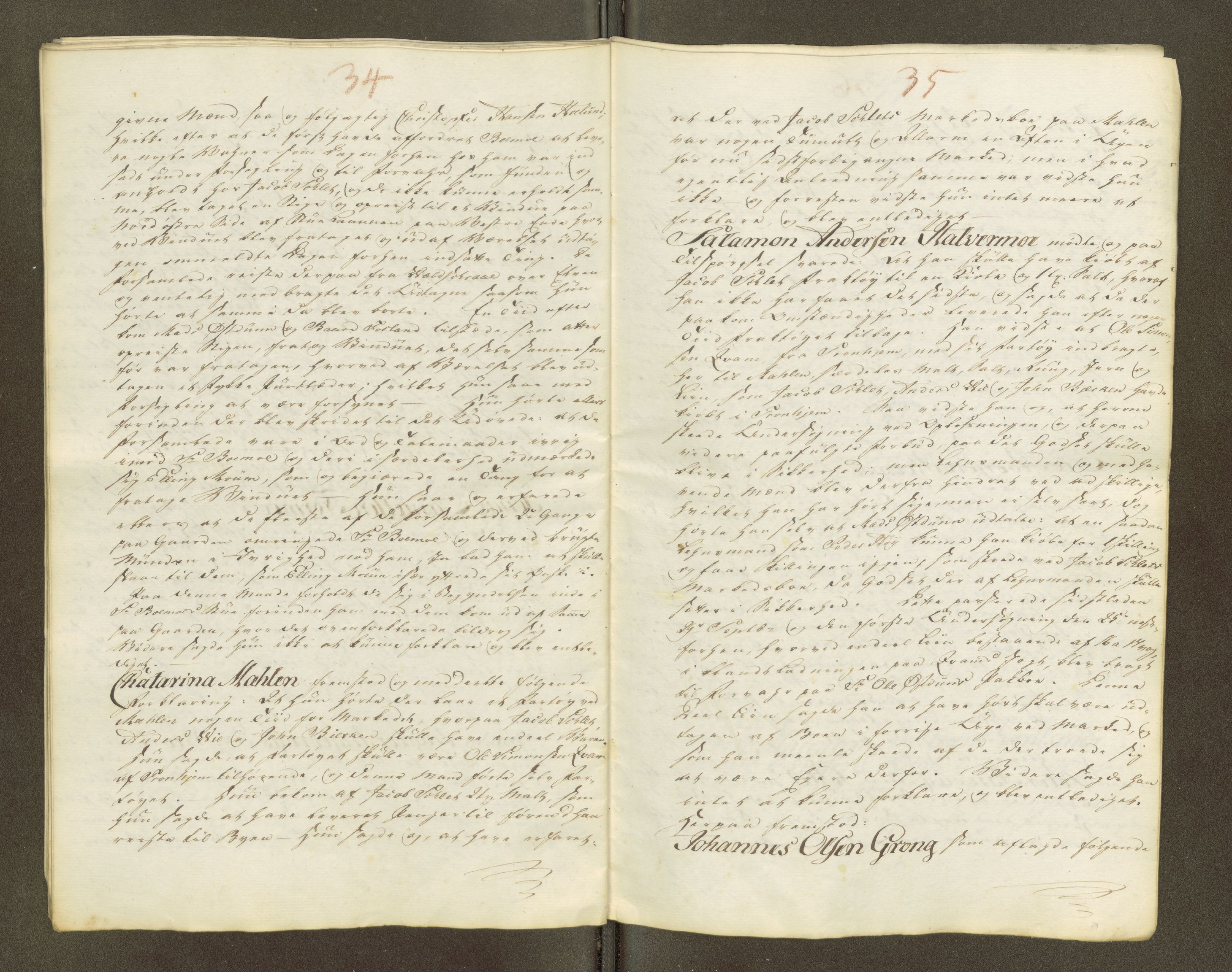 Namdal sorenskriveri, SAT/A-4133/1/1/1O/1Oa/L0007: Sivile og offentlige saker, 1798, s. 49