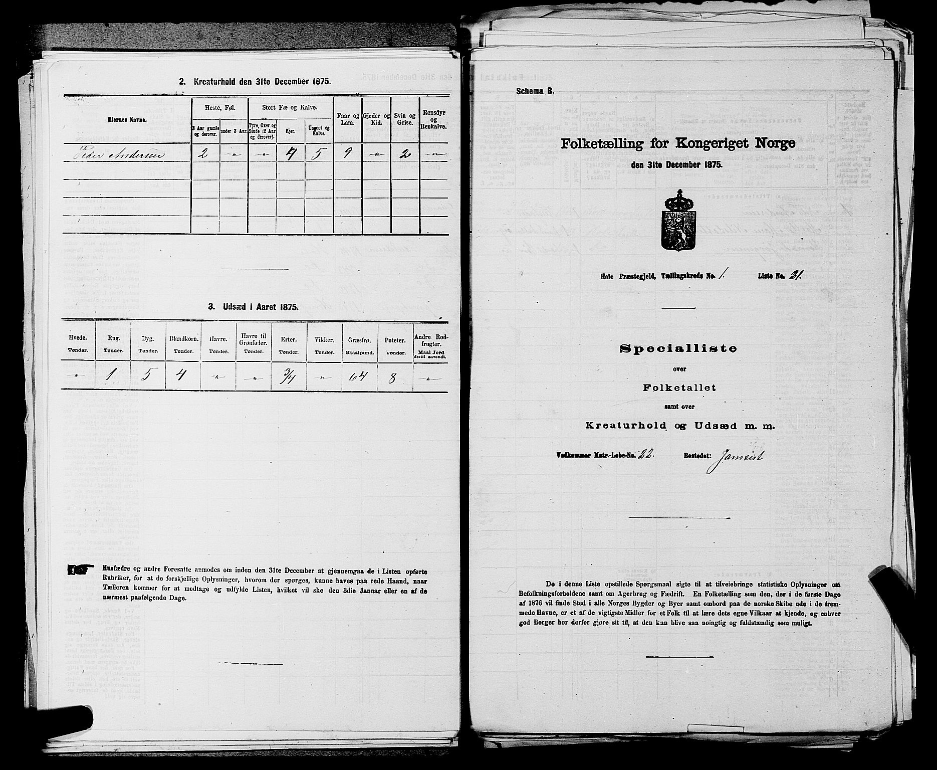 SAKO, Folketelling 1875 for 0612P Hole prestegjeld, 1875, s. 154