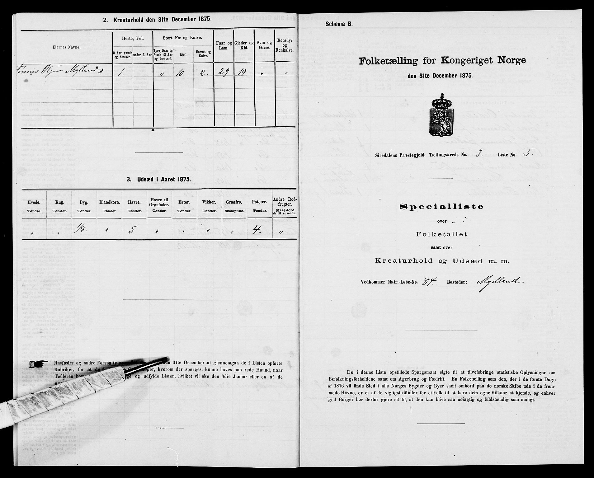 SAK, Folketelling 1875 for 1046P Sirdal prestegjeld, 1875, s. 284