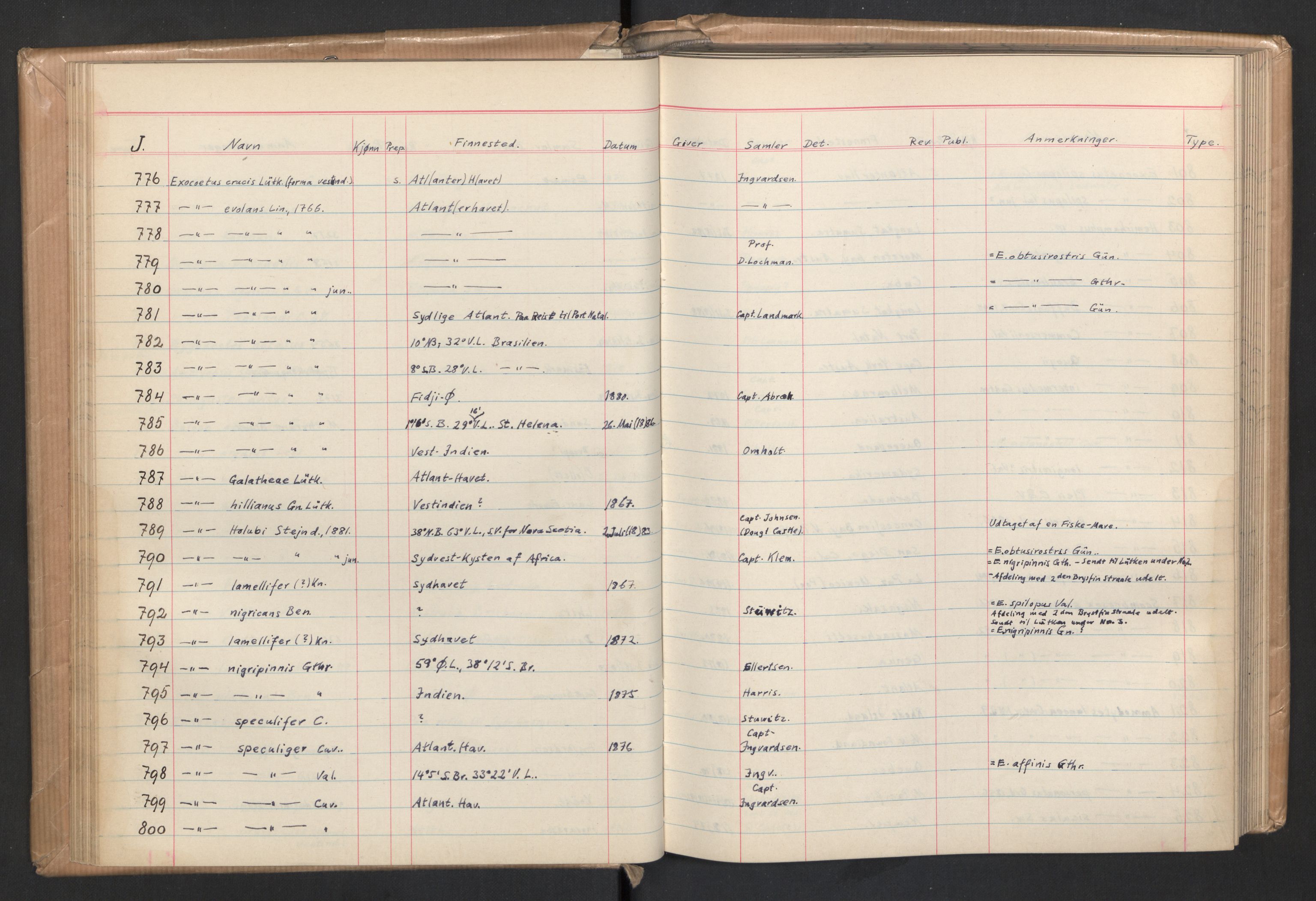 Naturhistorisk museum (Oslo), Zoologisk museum, NHMO/001/A/004: Lnr. 4 - Fisk. Samlingsjournal. Fiskesamlingen (J), nr. 1-5000