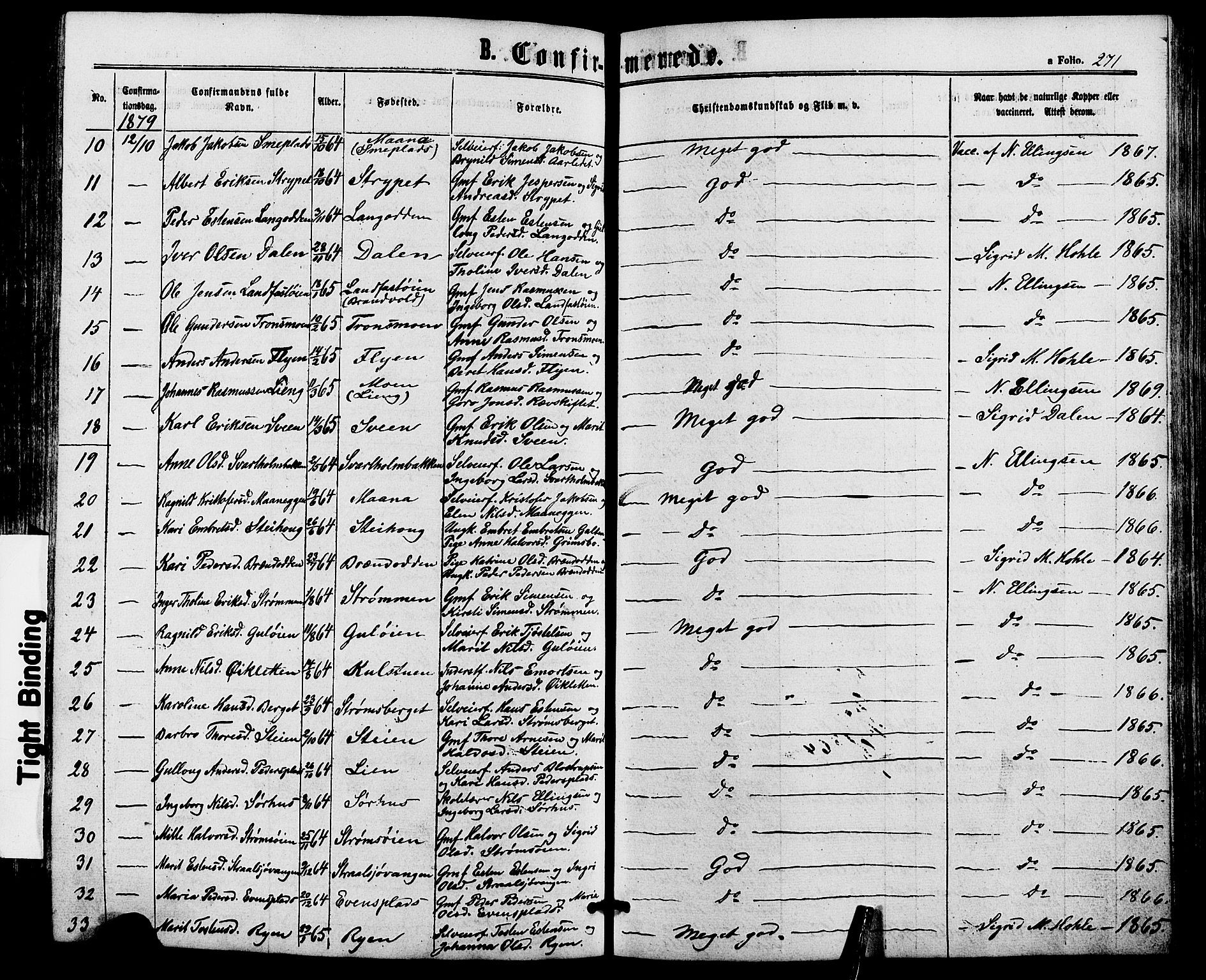 Alvdal prestekontor, AV/SAH-PREST-060/H/Ha/Haa/L0001: Ministerialbok nr. 1, 1863-1882, s. 271