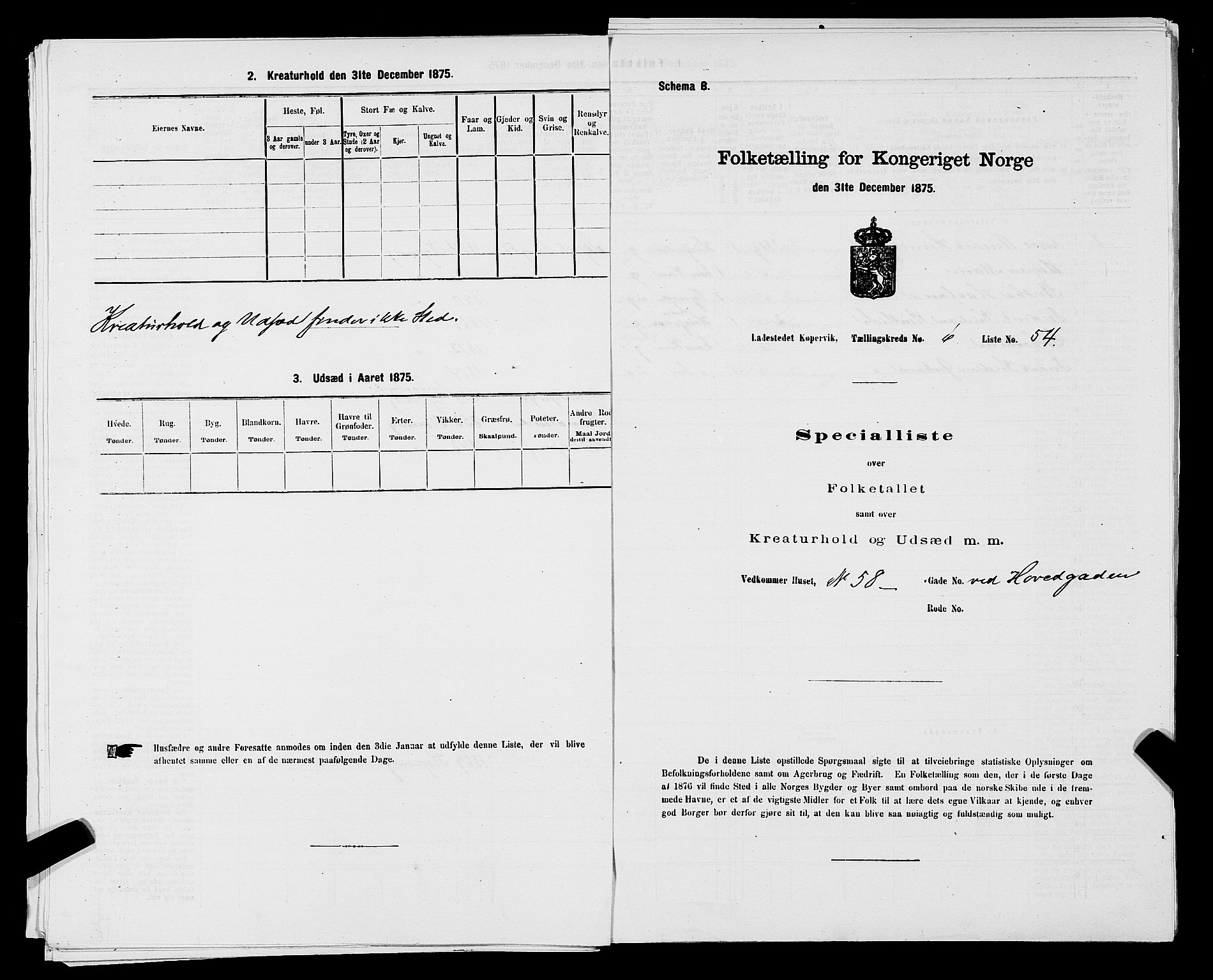 SAST, Folketelling 1875 for 1105B Avaldsnes prestegjeld, Kopervik ladested, 1875, s. 106