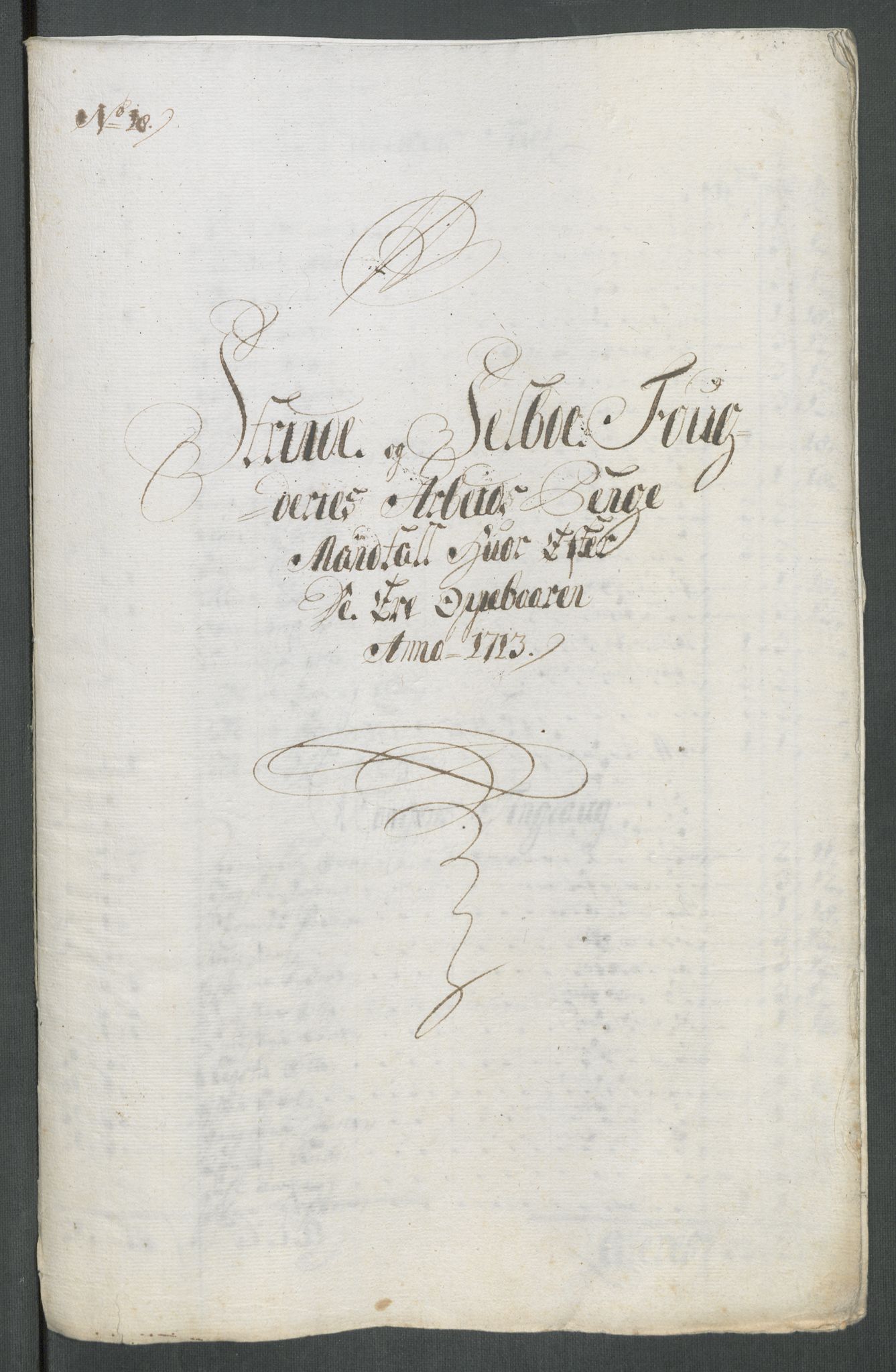 Rentekammeret inntil 1814, Reviderte regnskaper, Fogderegnskap, RA/EA-4092/R61/L4113: Fogderegnskap Strinda og Selbu, 1712-1713, s. 454