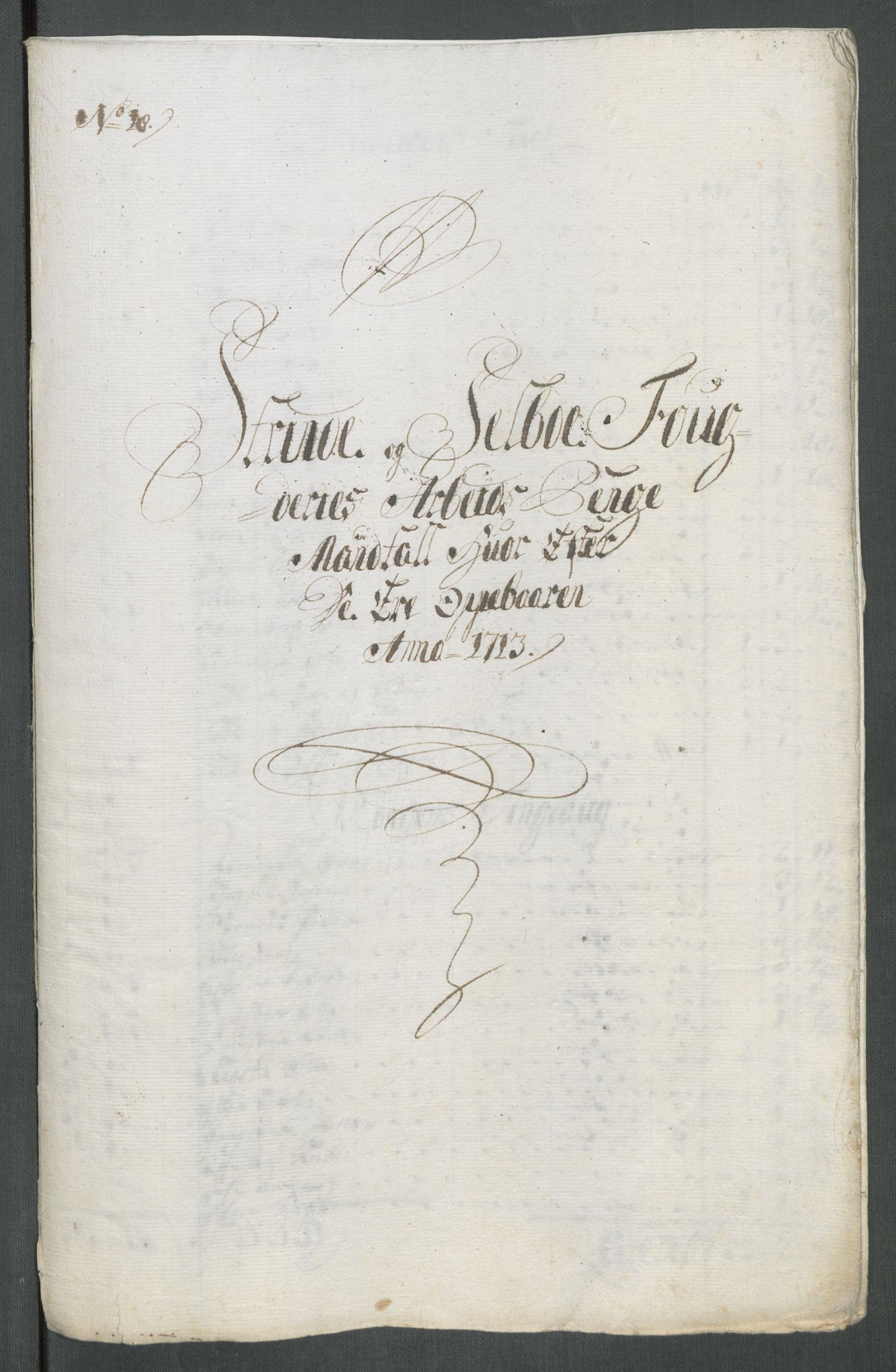 Rentekammeret inntil 1814, Reviderte regnskaper, Fogderegnskap, AV/RA-EA-4092/R61/L4113: Fogderegnskap Strinda og Selbu, 1712-1713, s. 454