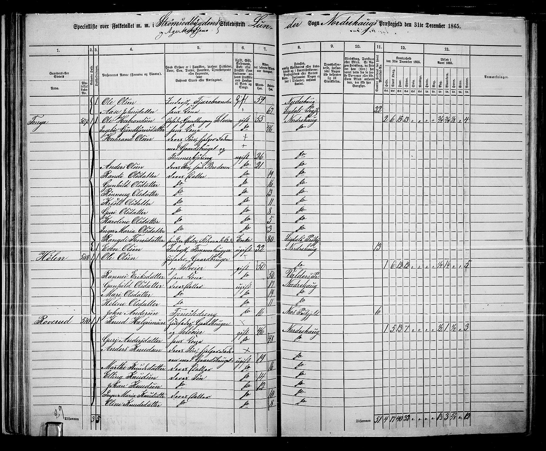 RA, Folketelling 1865 for 0613L Norderhov prestegjeld, Norderhov sokn, Haug sokn og Lunder sokn, 1865, s. 57