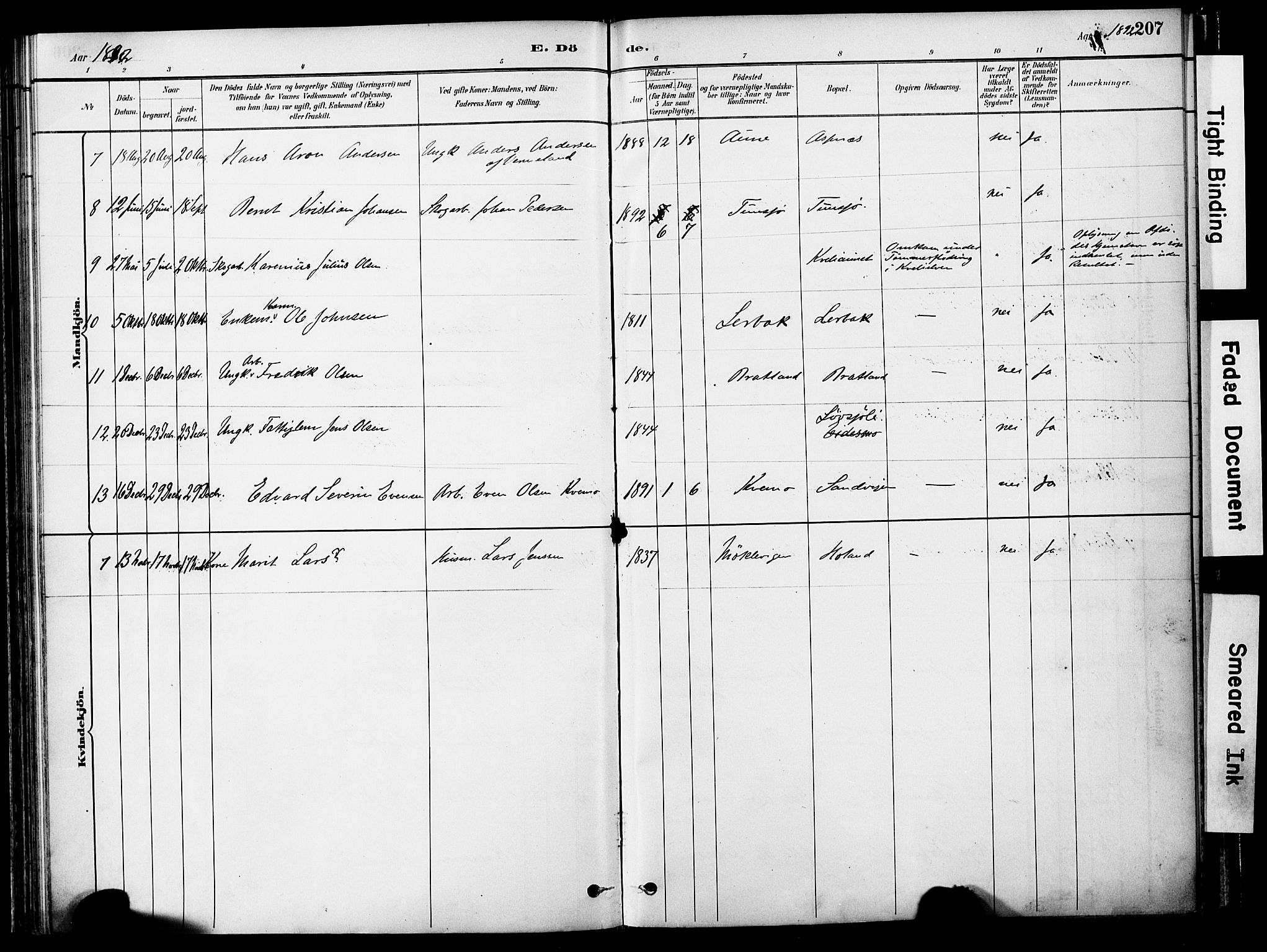 Ministerialprotokoller, klokkerbøker og fødselsregistre - Nord-Trøndelag, SAT/A-1458/755/L0494: Ministerialbok nr. 755A03, 1882-1902, s. 207