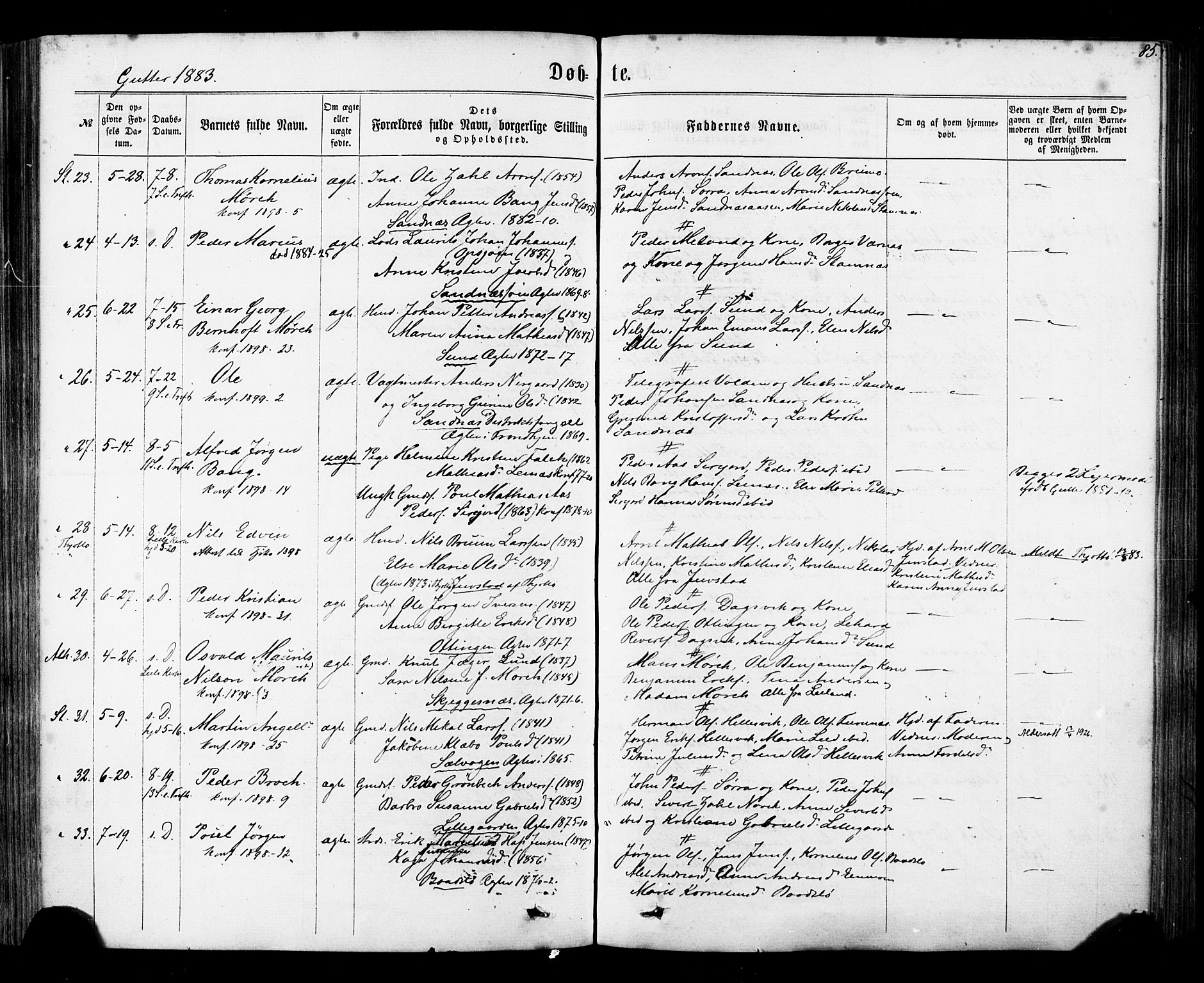 Ministerialprotokoller, klokkerbøker og fødselsregistre - Nordland, AV/SAT-A-1459/830/L0449: Ministerialbok nr. 830A13, 1866-1886, s. 85