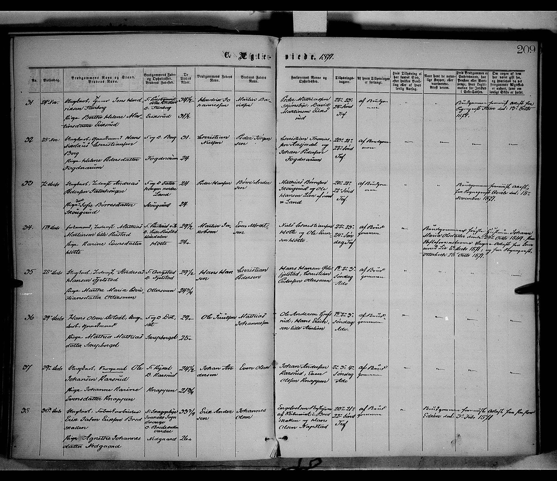 Vestre Toten prestekontor, SAH/PREST-108/H/Ha/Haa/L0008: Ministerialbok nr. 8, 1870-1877, s. 209