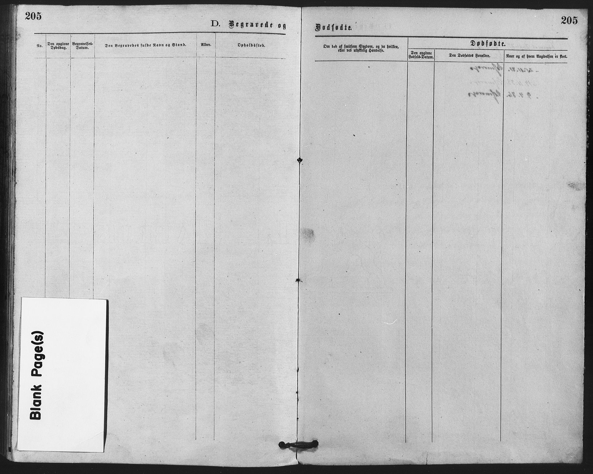 Trefoldighet prestekontor Kirkebøker, AV/SAO-A-10882/F/Fd/L0002: Ministerialbok nr. IV 2, 1877-1885, s. 205