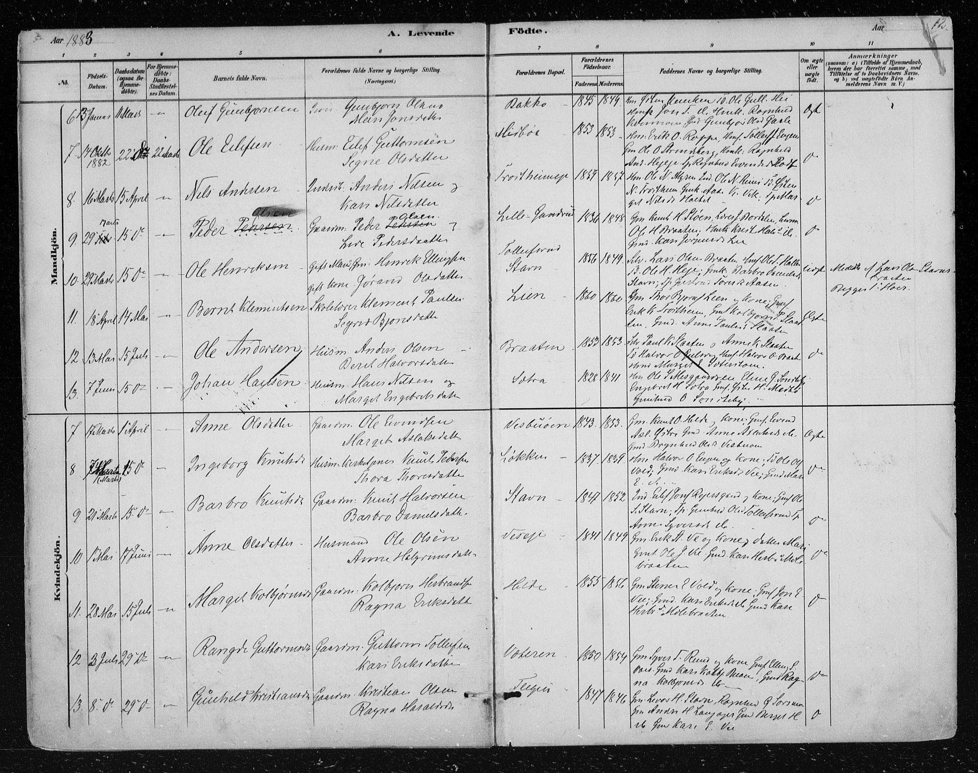 Nes kirkebøker, AV/SAKO-A-236/F/Fa/L0012: Ministerialbok nr. 12, 1881-1917, s. 12