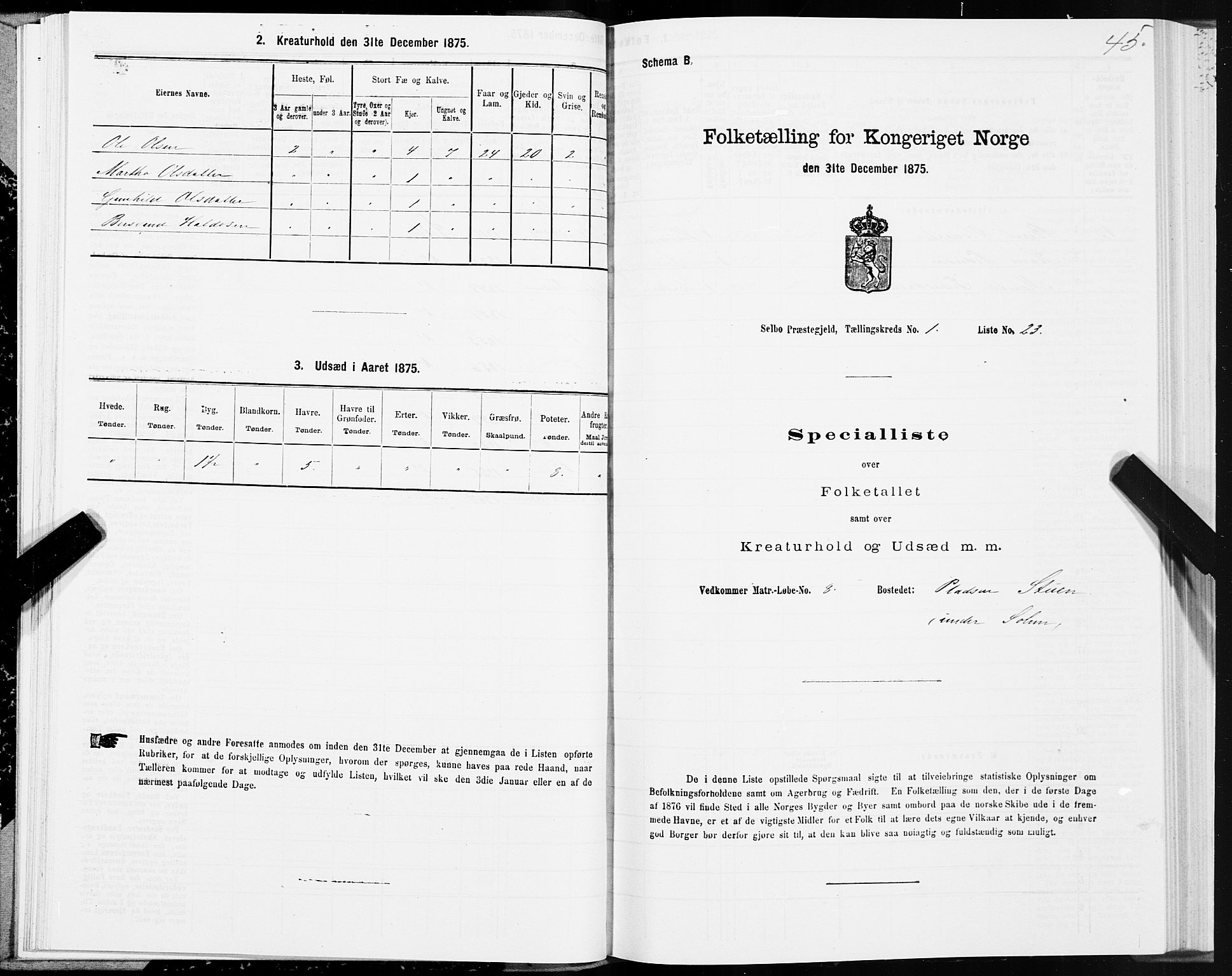 SAT, Folketelling 1875 for 1664P Selbu prestegjeld, 1875, s. 1045