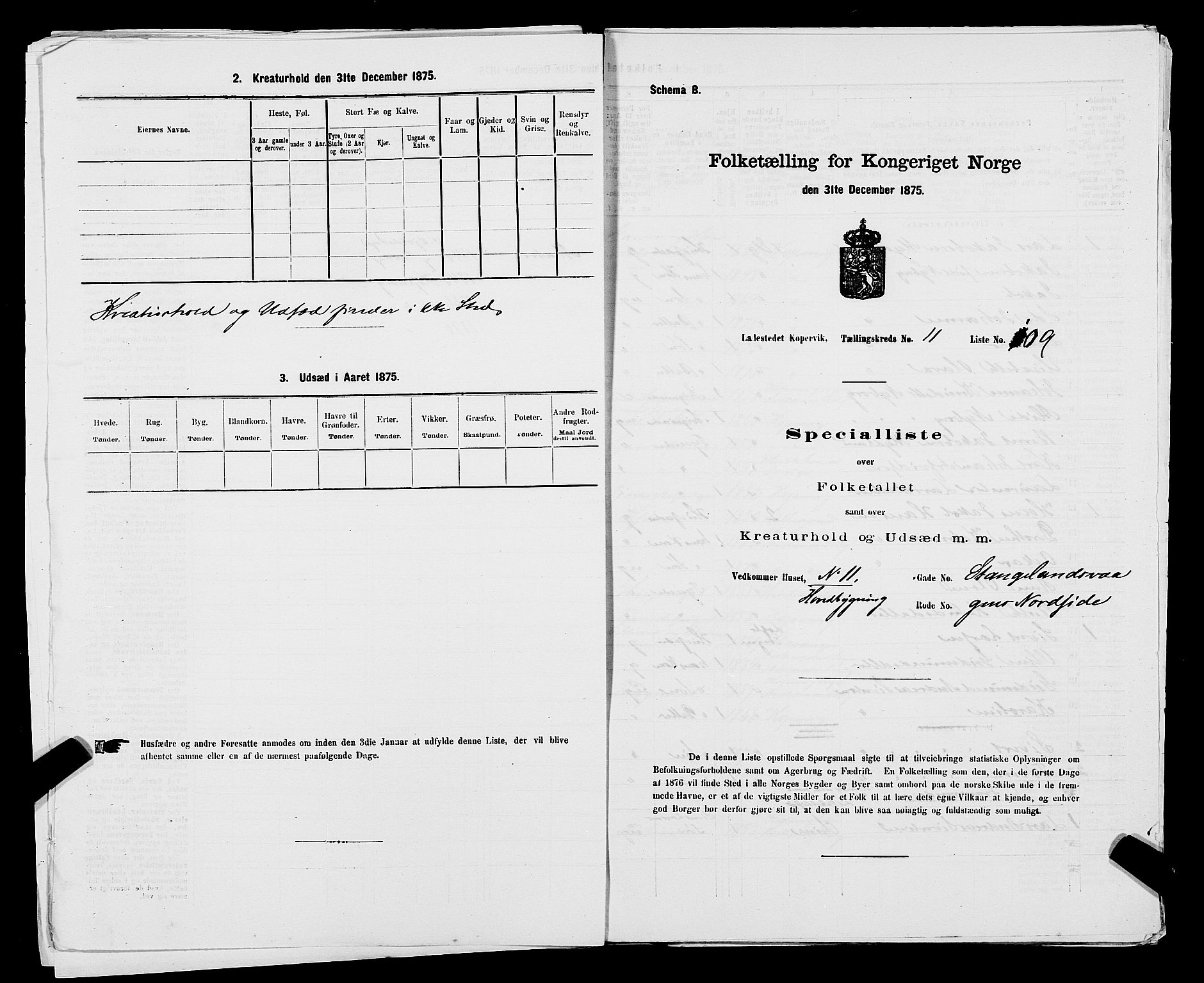 SAST, Folketelling 1875 for 1105B Avaldsnes prestegjeld, Kopervik ladested, 1875, s. 217