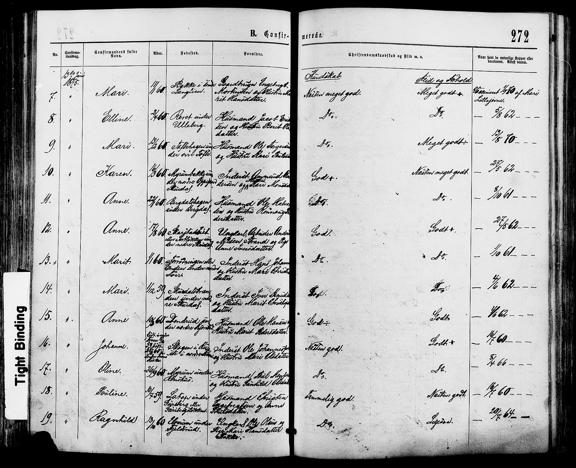Sør-Fron prestekontor, SAH/PREST-010/H/Ha/Haa/L0002: Ministerialbok nr. 2, 1864-1880, s. 272