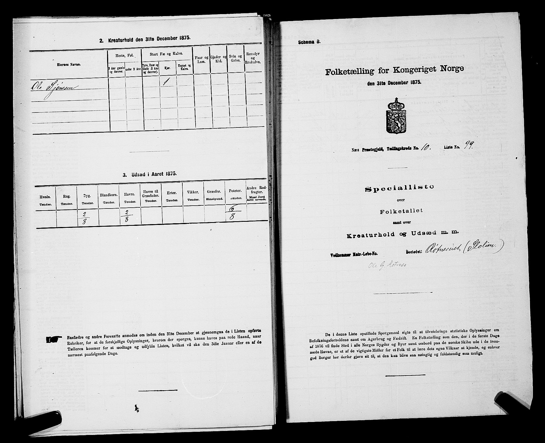 RA, Folketelling 1875 for 0236P Nes prestegjeld, 1875, s. 1885