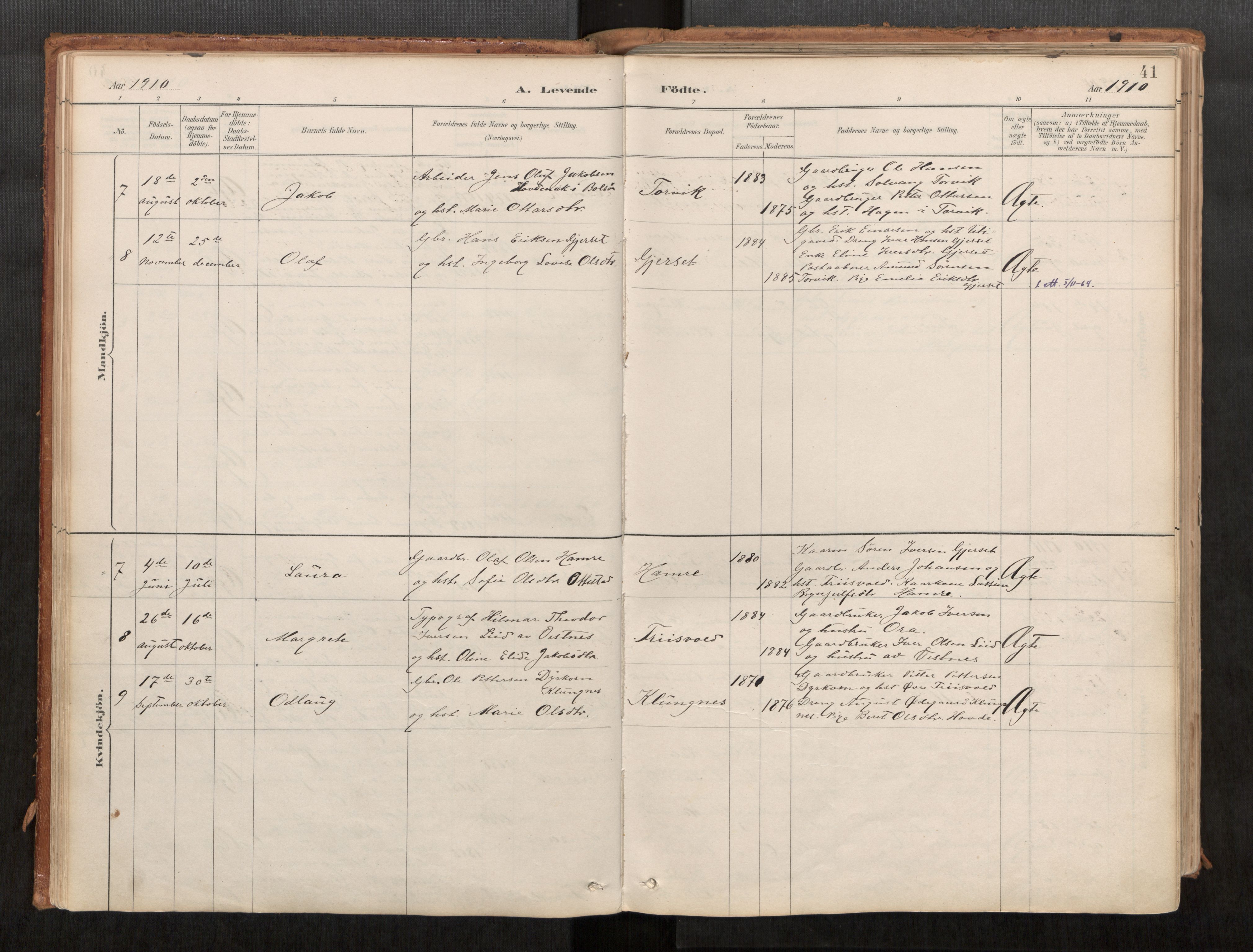 Ministerialprotokoller, klokkerbøker og fødselsregistre - Møre og Romsdal, AV/SAT-A-1454/542/L0553: Ministerialbok nr. 542A03, 1885-1925, s. 41