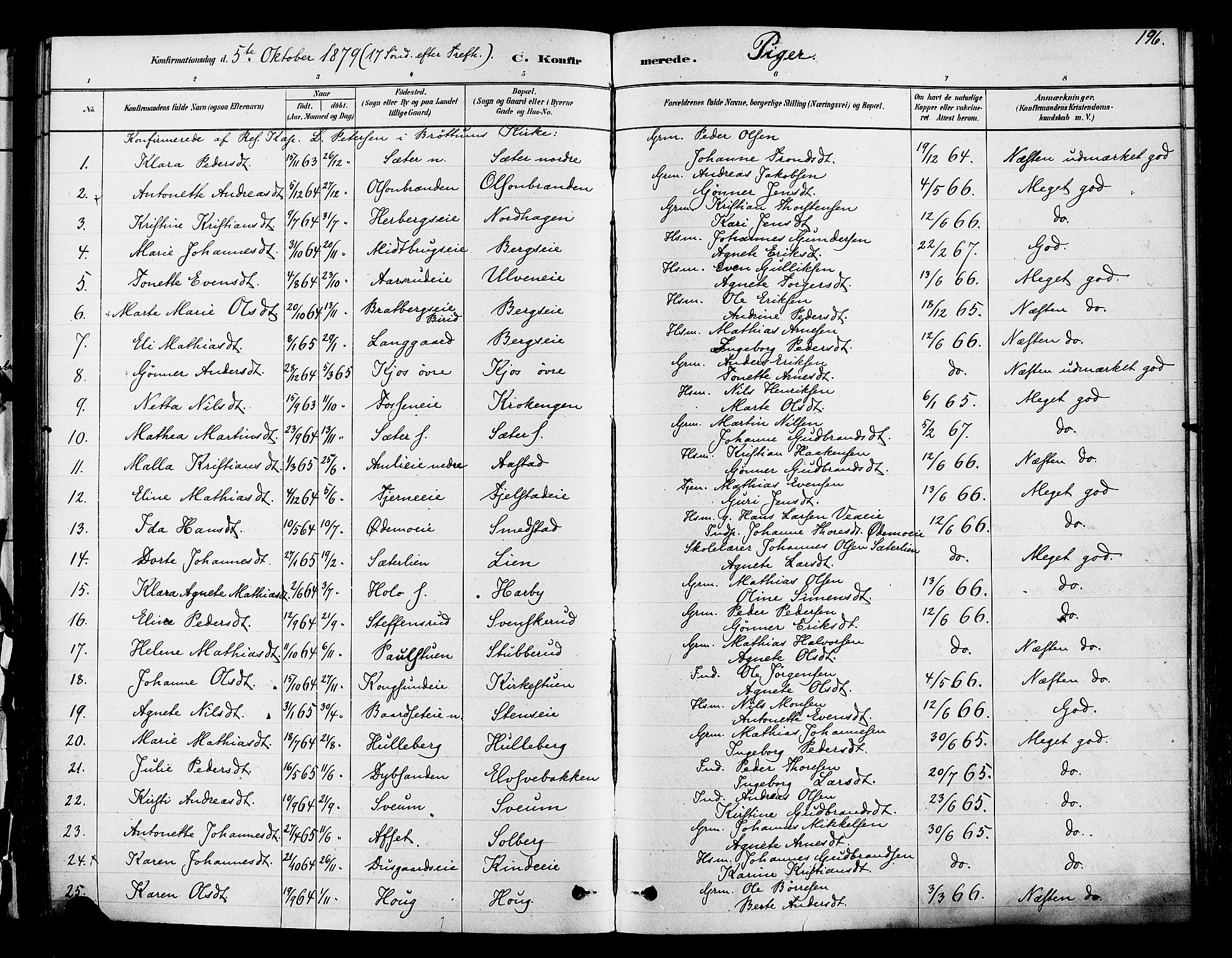Ringsaker prestekontor, AV/SAH-PREST-014/K/Ka/L0012: Ministerialbok nr. 12, 1879-1890, s. 196