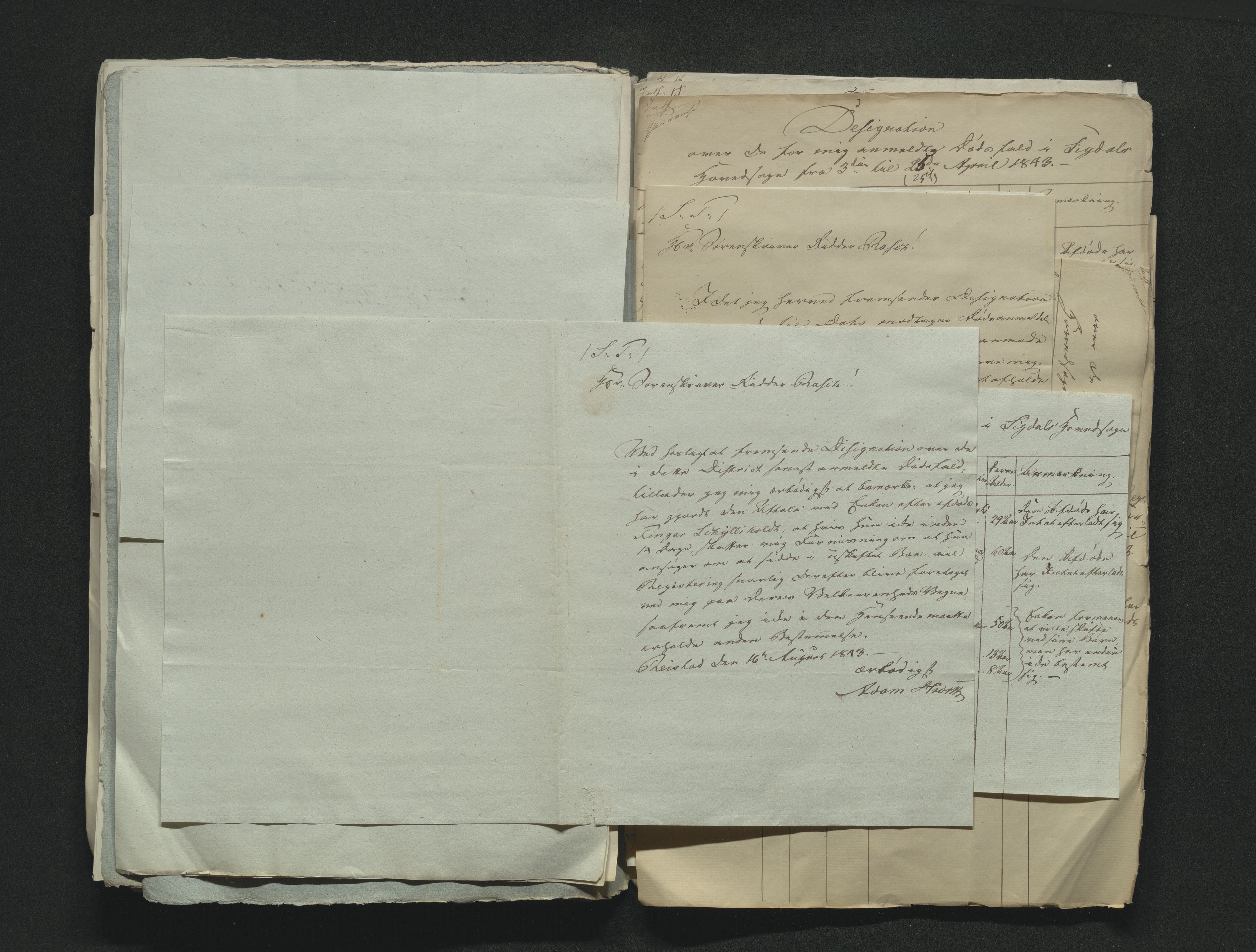 Eiker, Modum og Sigdal sorenskriveri, AV/SAKO-A-123/H/Ha/Hab/L0006: Dødsfallsmeldinger, 1841-1845