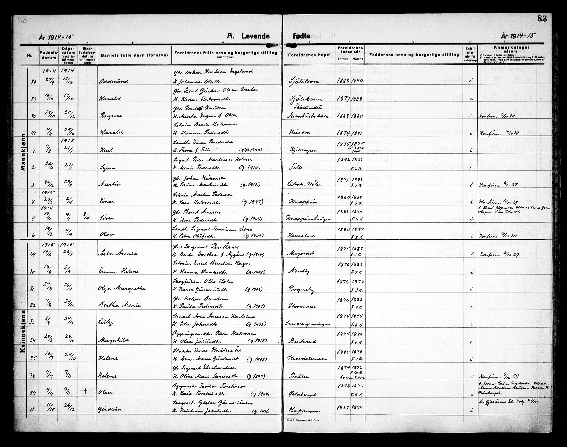 Åsnes prestekontor, AV/SAH-PREST-042/H/Ha/Haa/L0000C: Ministerialbok nr. 0A, 1890-1929, s. 83