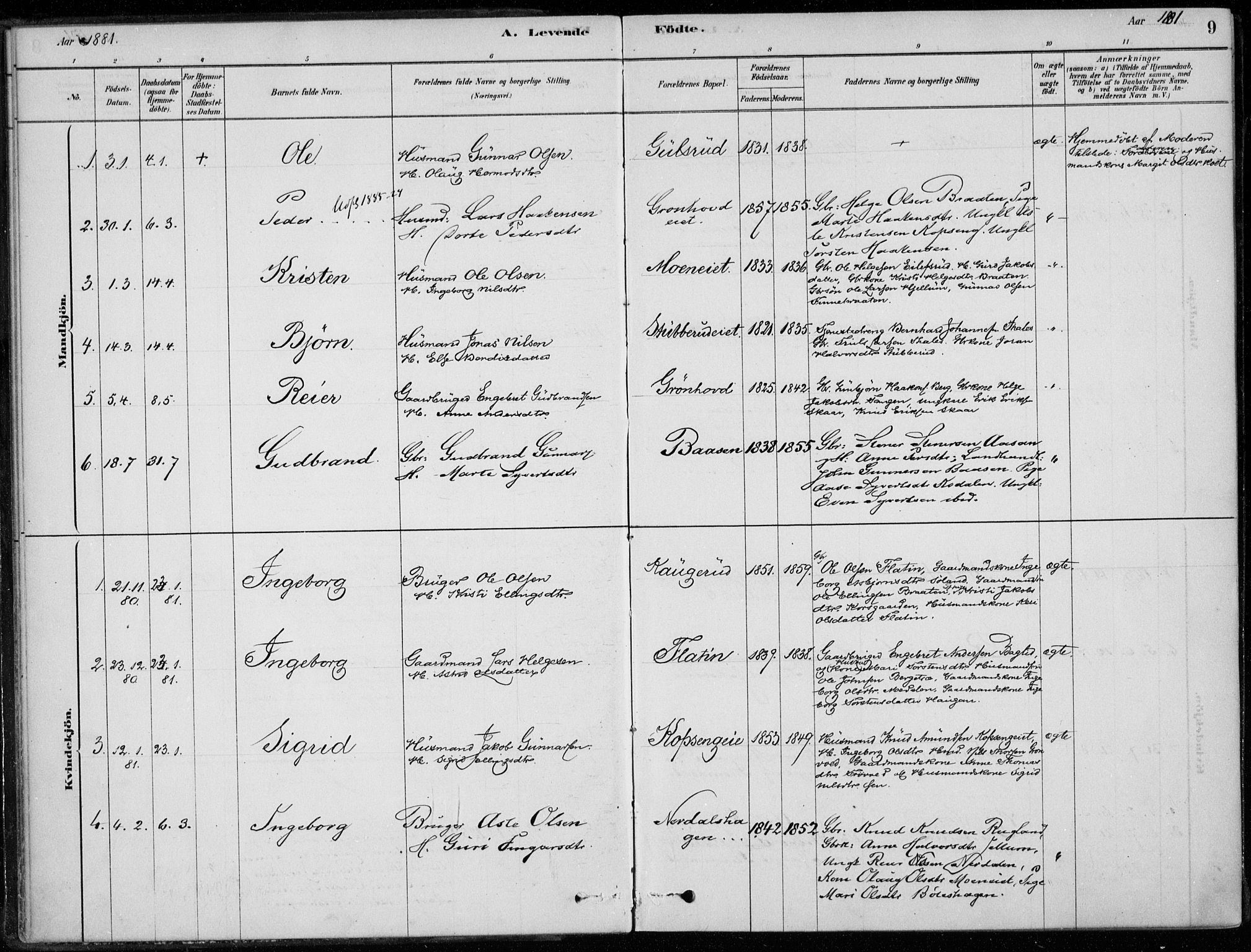 Sigdal kirkebøker, AV/SAKO-A-245/F/Fc/L0001: Ministerialbok nr. III 1, 1879-1893, s. 9