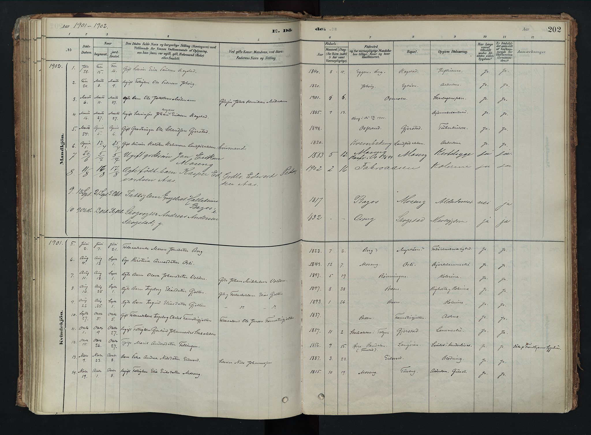 Tolga prestekontor, AV/SAH-PREST-062/K/L0008: Ministerialbok nr. 8, 1877-1910, s. 202