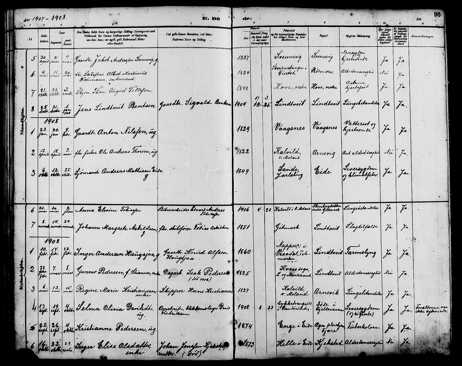 Hommedal sokneprestkontor, SAK/1111-0023/F/Fb/Fba/L0004: Klokkerbok nr. B 4, 1885-1908, s. 96