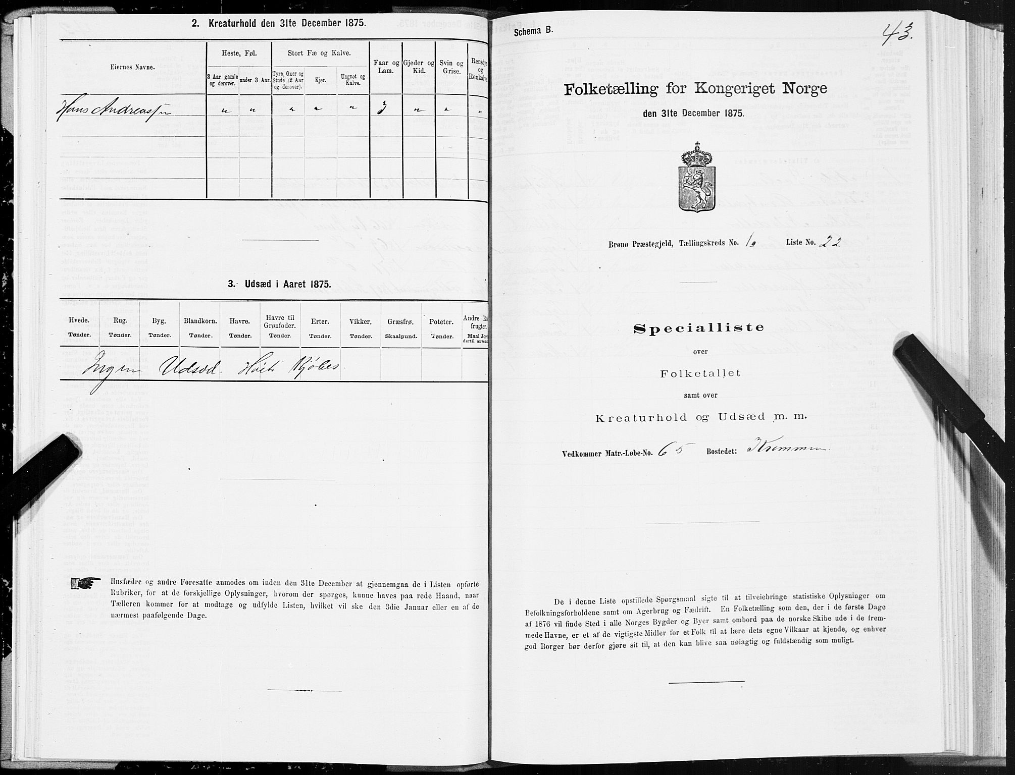 SAT, Folketelling 1875 for 1814P Brønnøy prestegjeld, 1875, s. 1043
