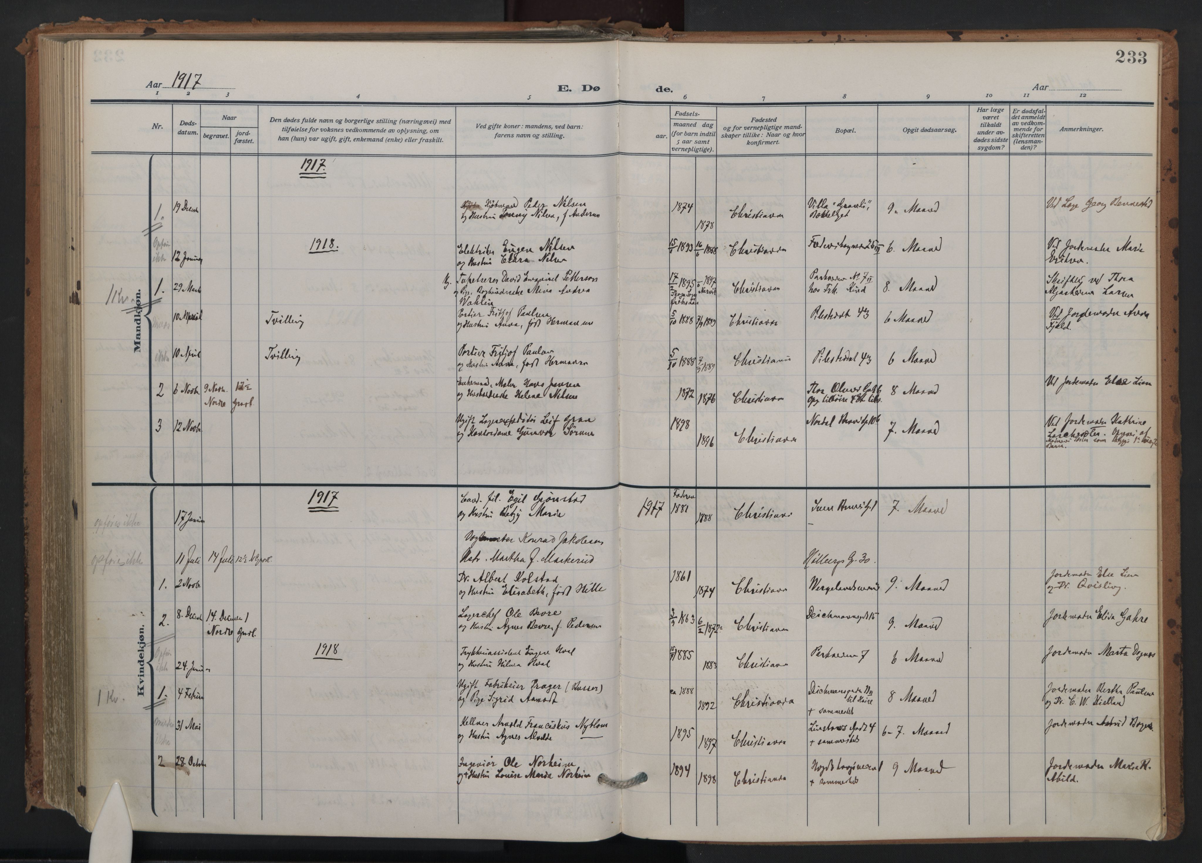 Trefoldighet prestekontor Kirkebøker, SAO/A-10882/F/Fd/L0005: Ministerialbok nr. IV 5, 1912-1929, s. 233