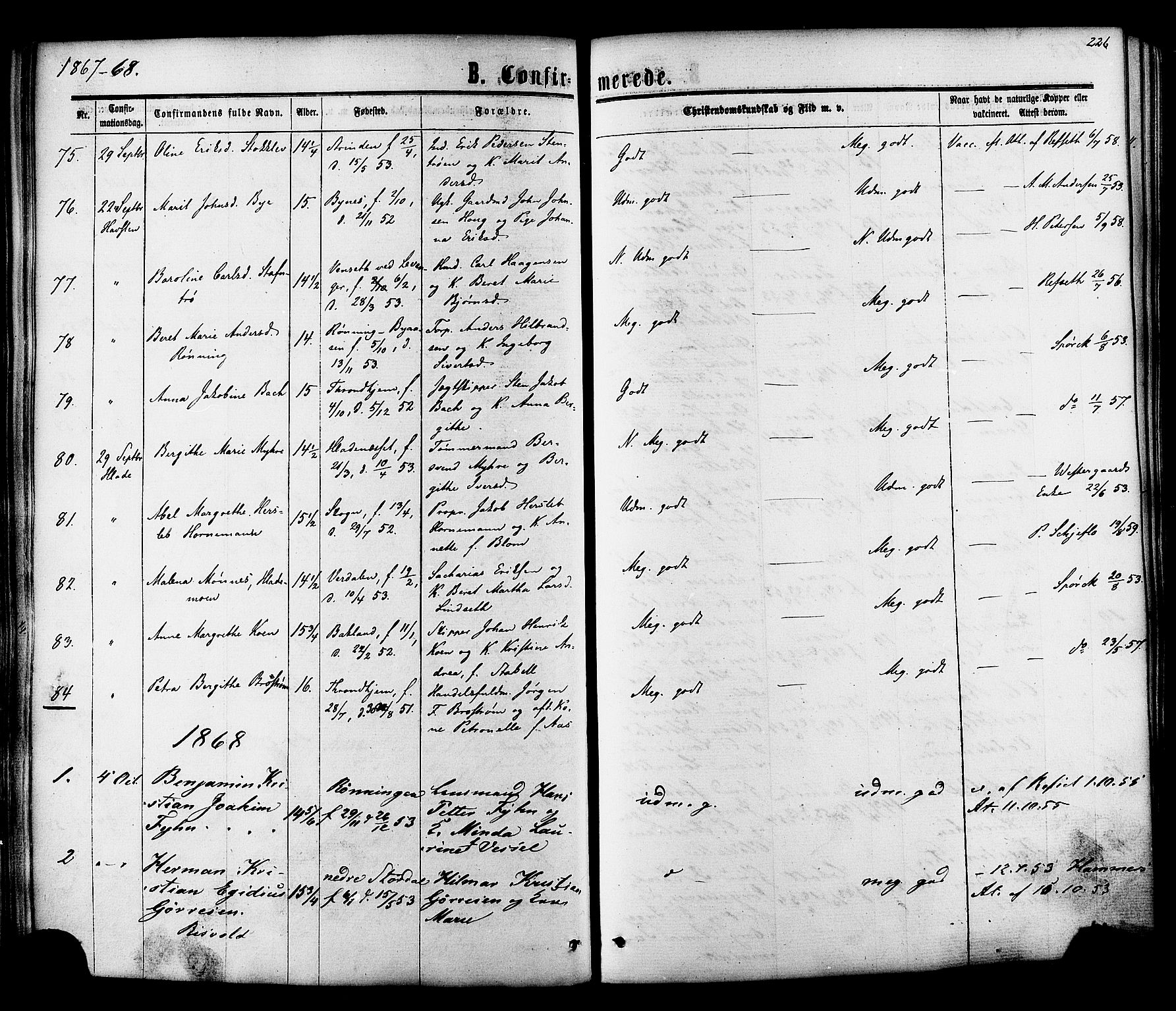 Ministerialprotokoller, klokkerbøker og fødselsregistre - Sør-Trøndelag, AV/SAT-A-1456/606/L0293: Ministerialbok nr. 606A08, 1866-1877, s. 226